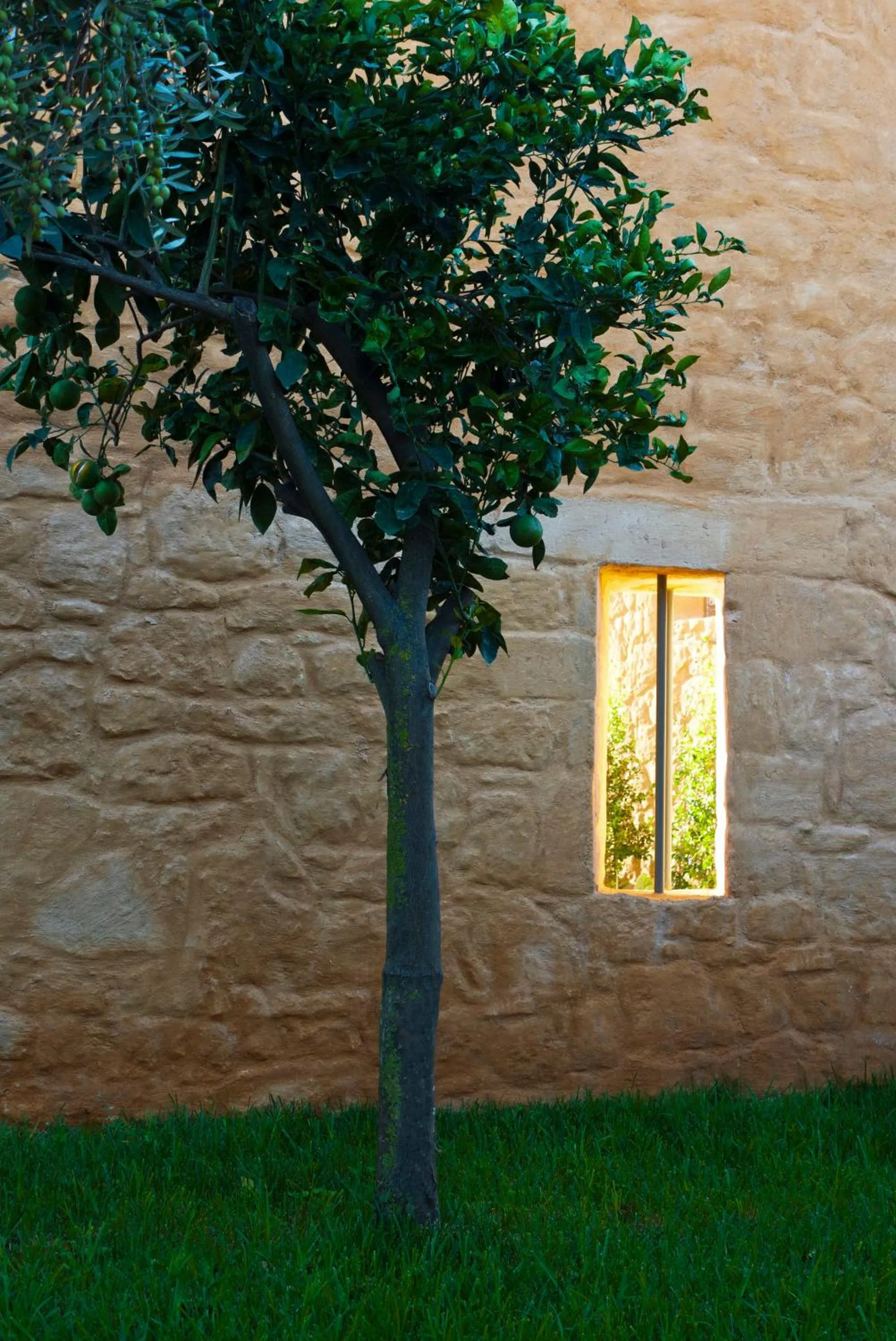 Facade/entrance in Conte Marino Villas
