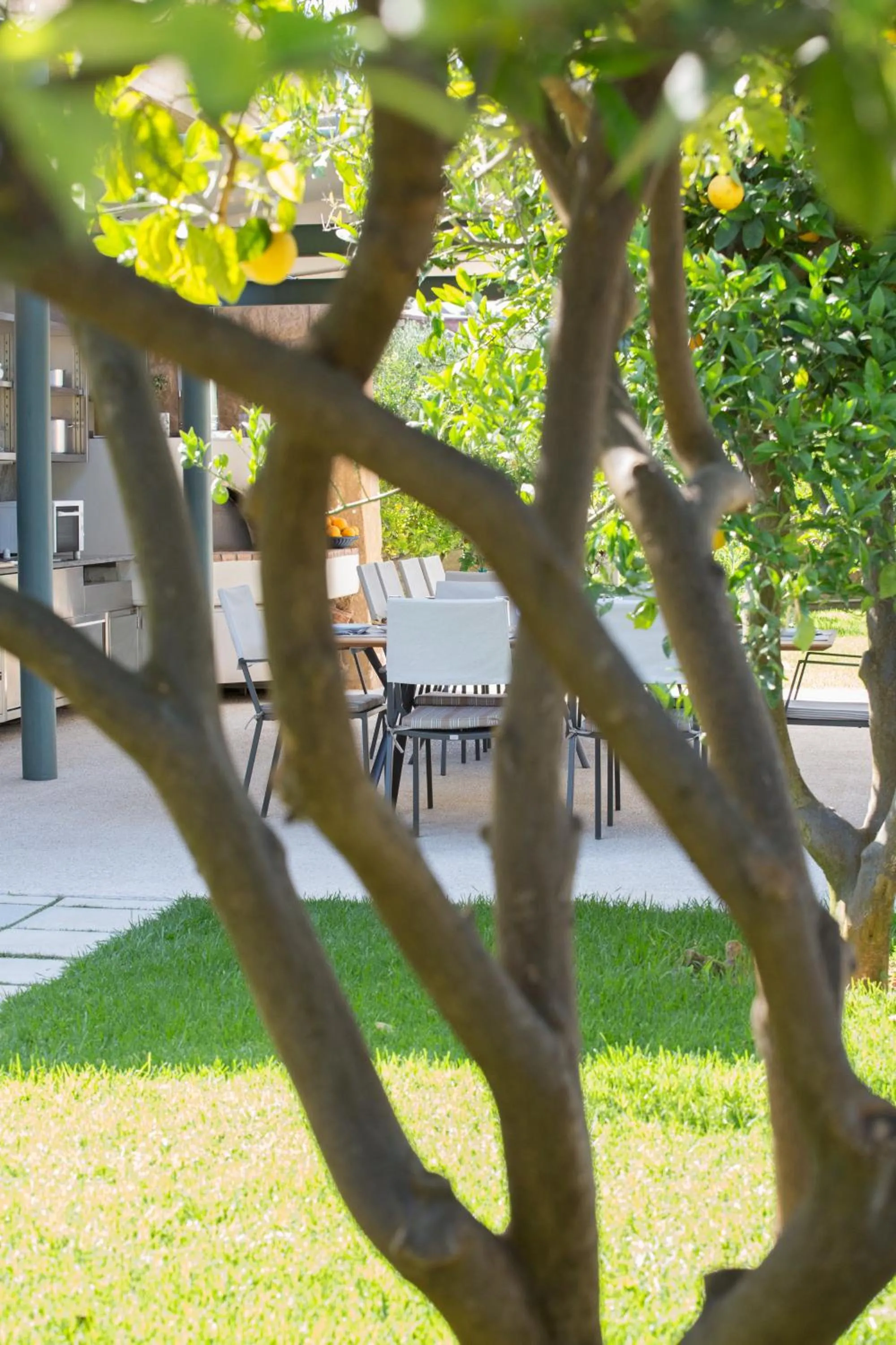 Garden in Conte Marino Villas