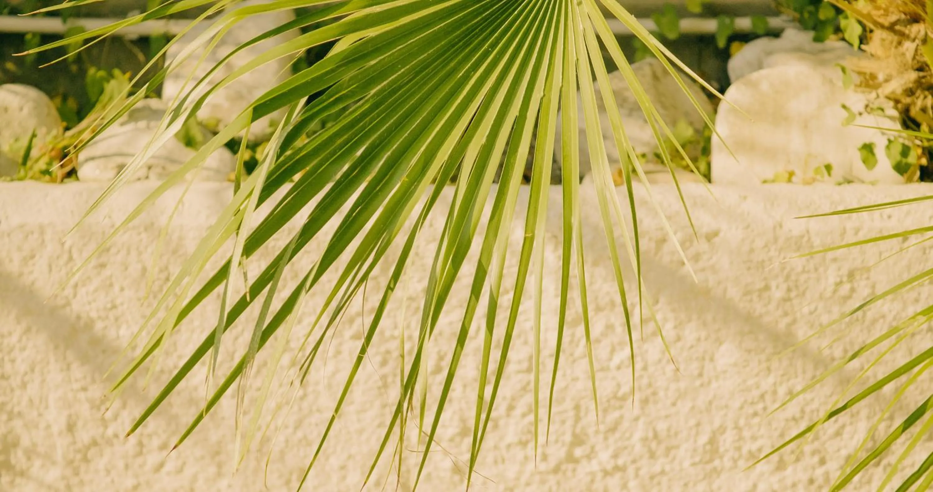 Property building in Hotel Beverly