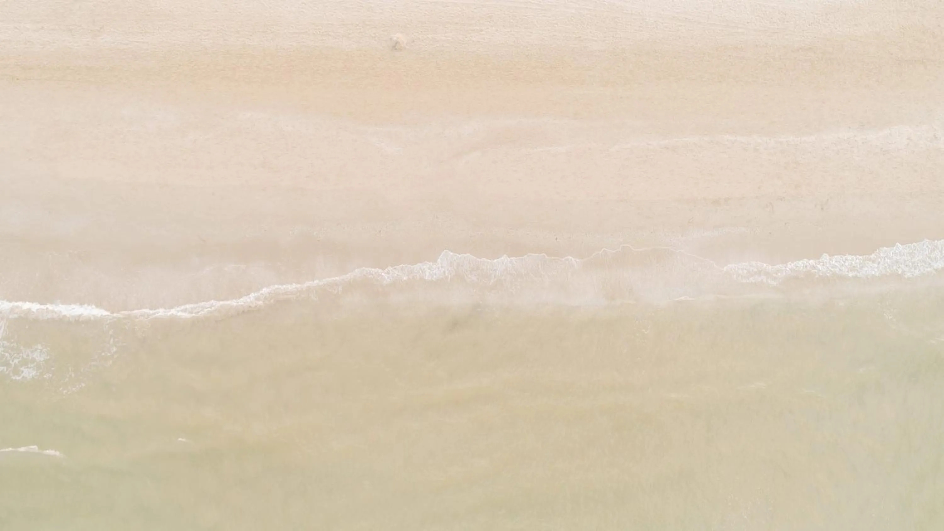 Beach in Hotel Beverly