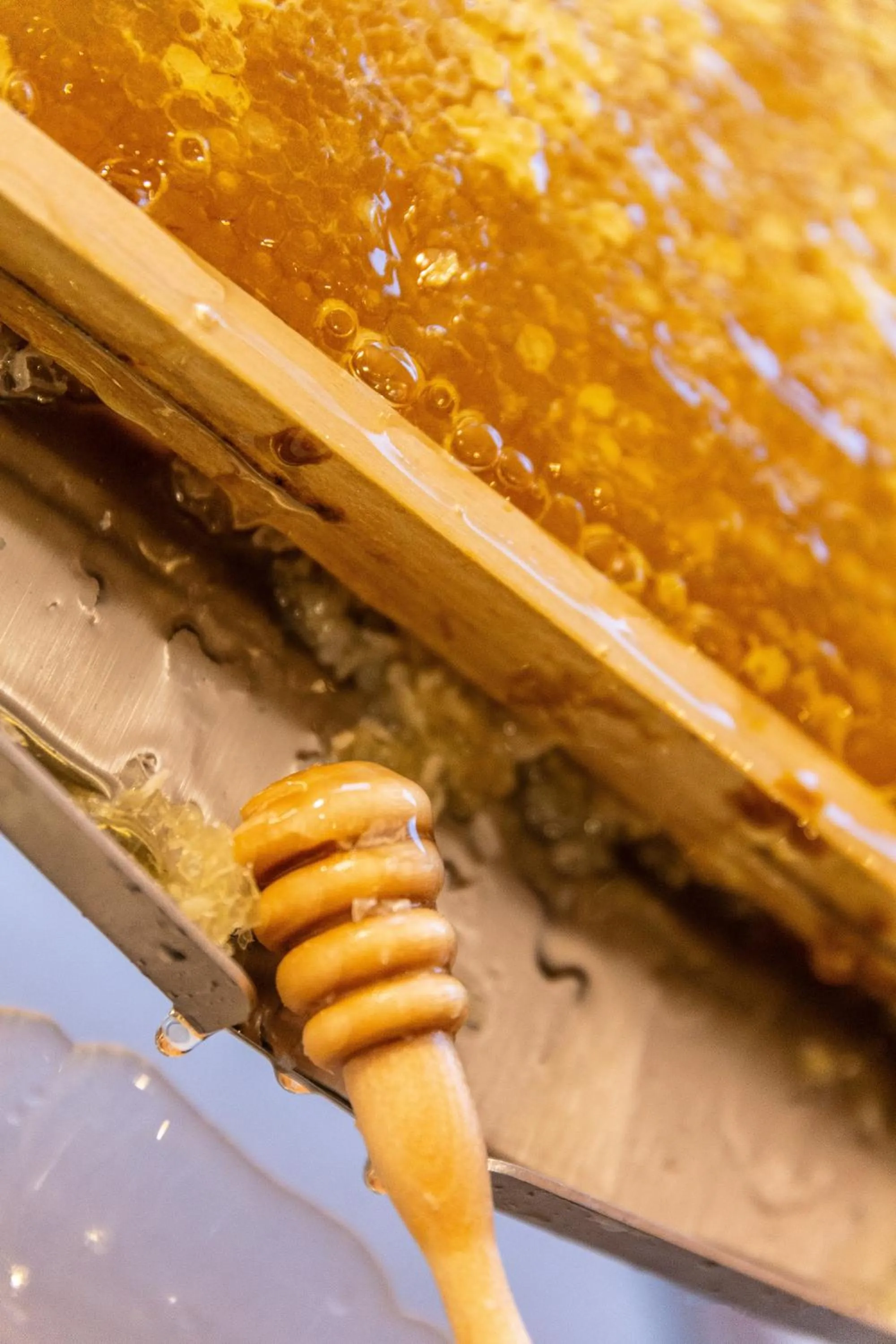 Breakfast in Hotel Beverly