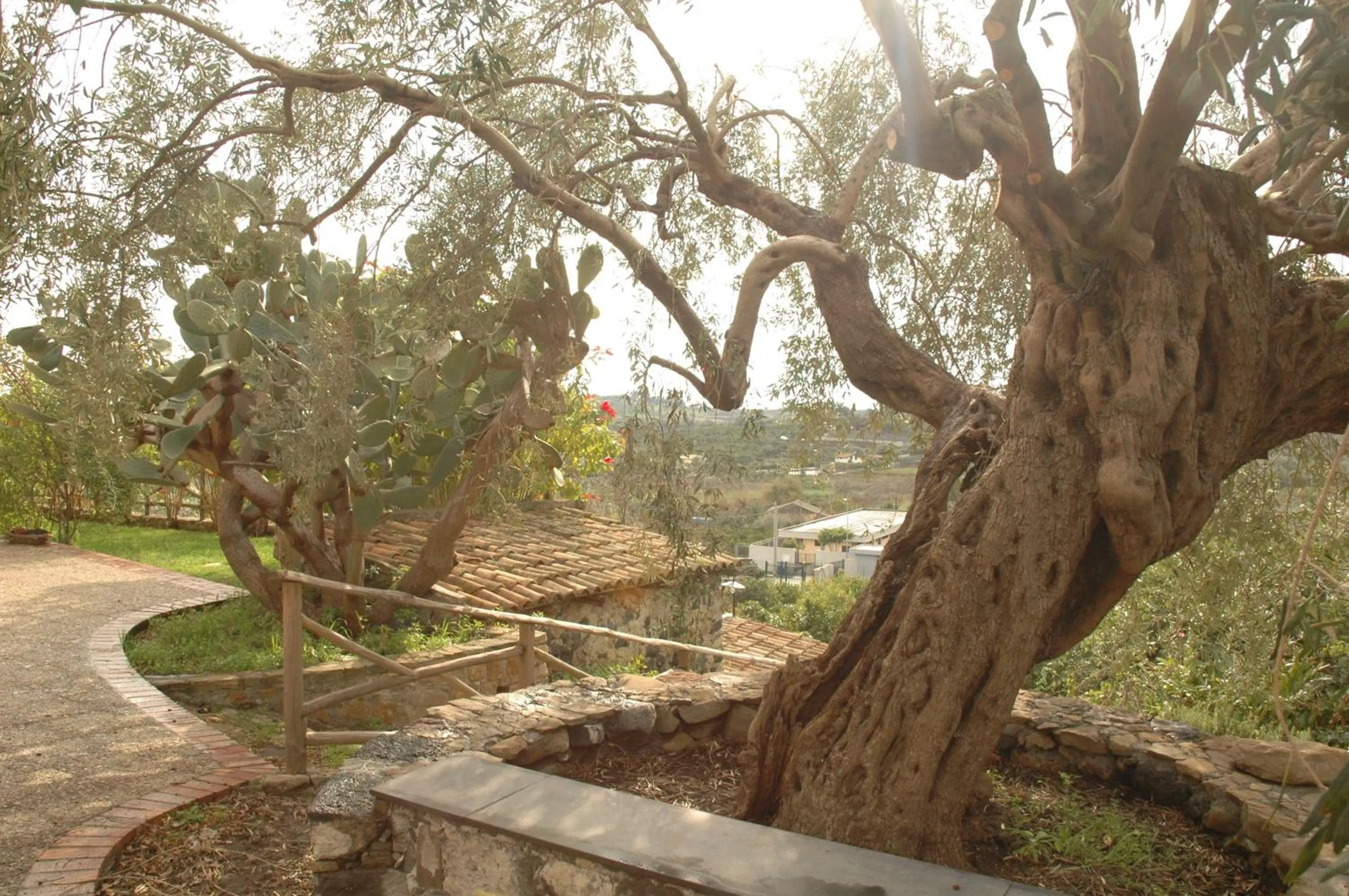 Garden in Antico Borgo Etneo Country Hotel