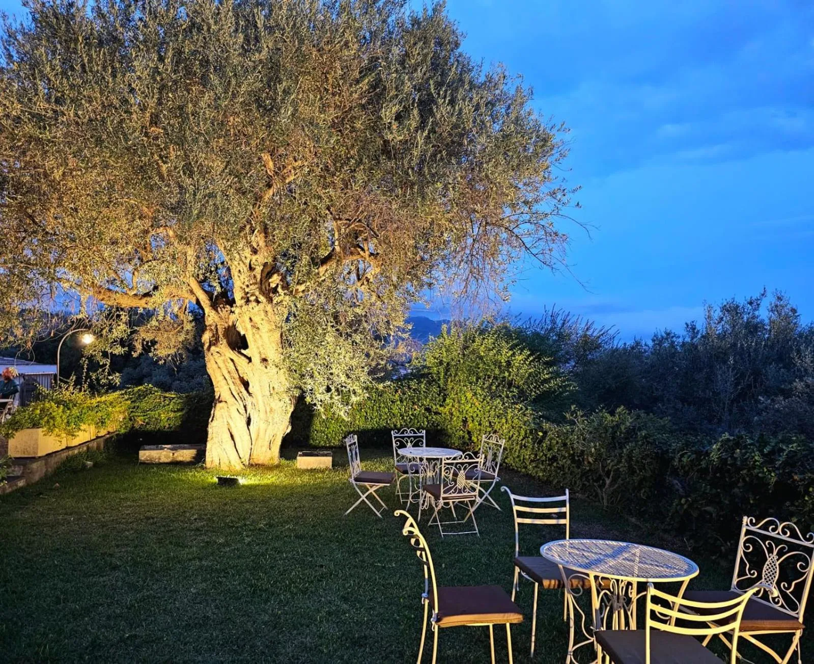 Garden in Antico Borgo Etneo Country Hotel