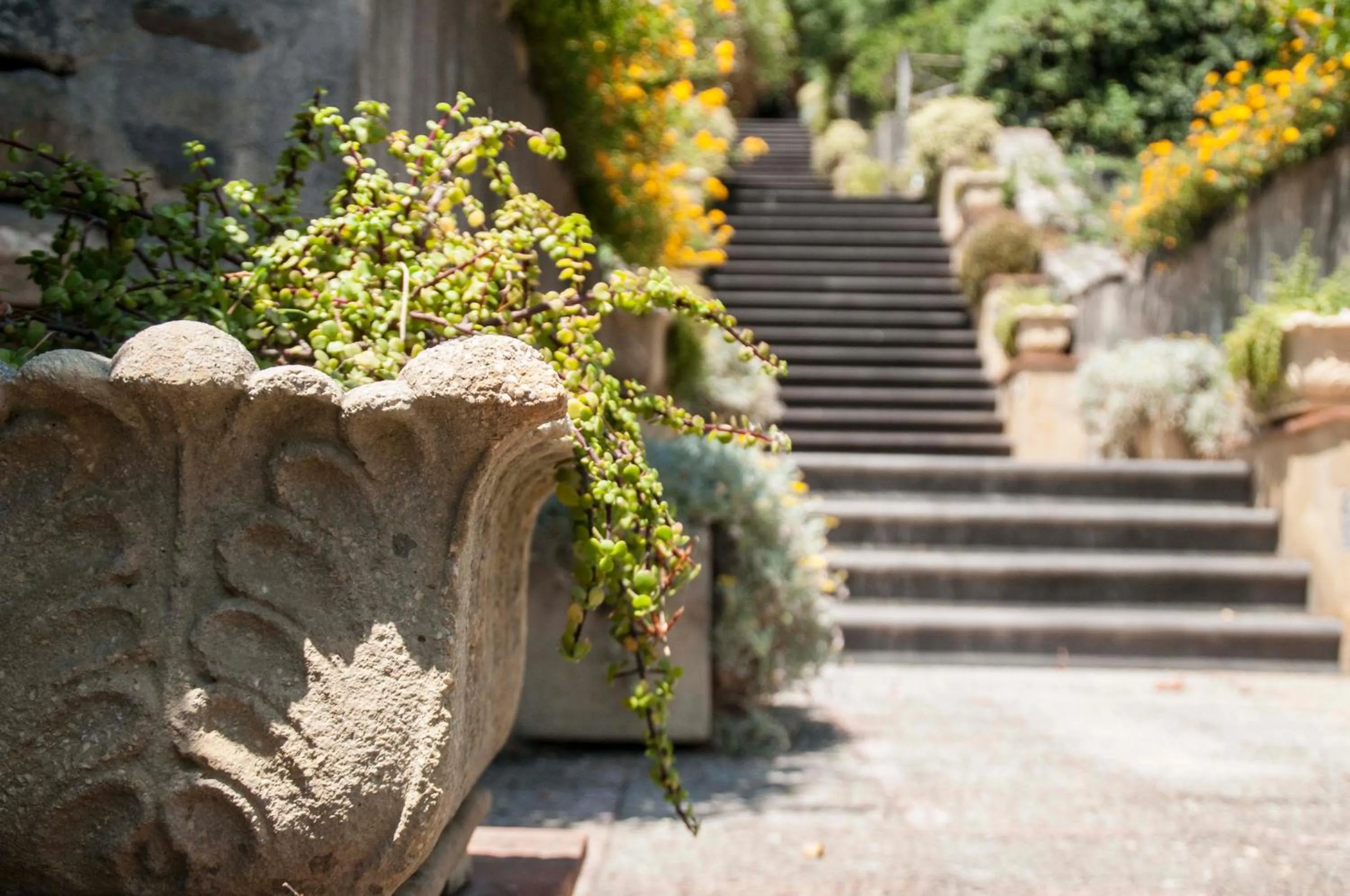 Garden in Antico Borgo Etneo Country Hotel