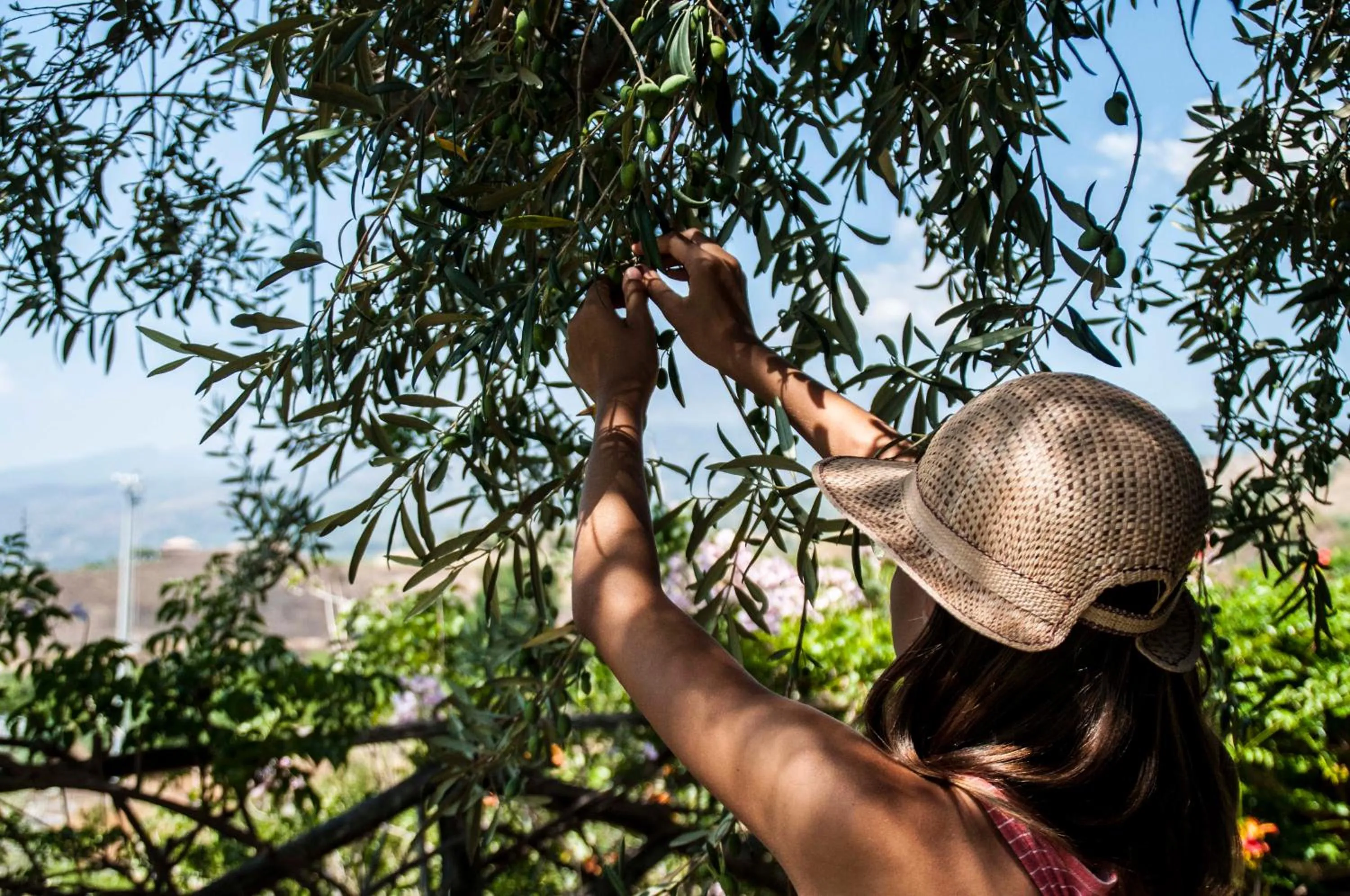Garden in Antico Borgo Etneo Country Hotel