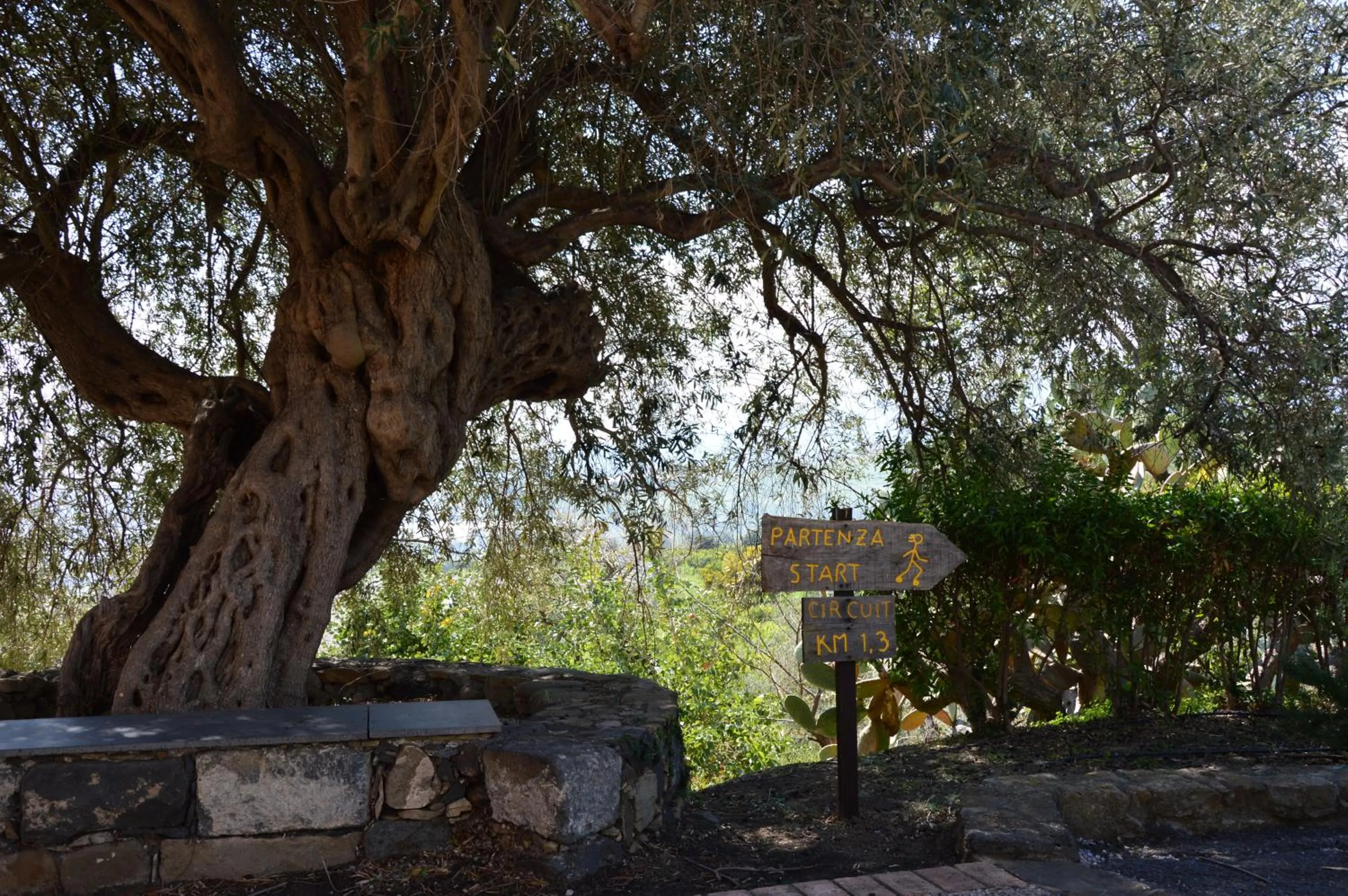 Garden in Antico Borgo Etneo Country Hotel