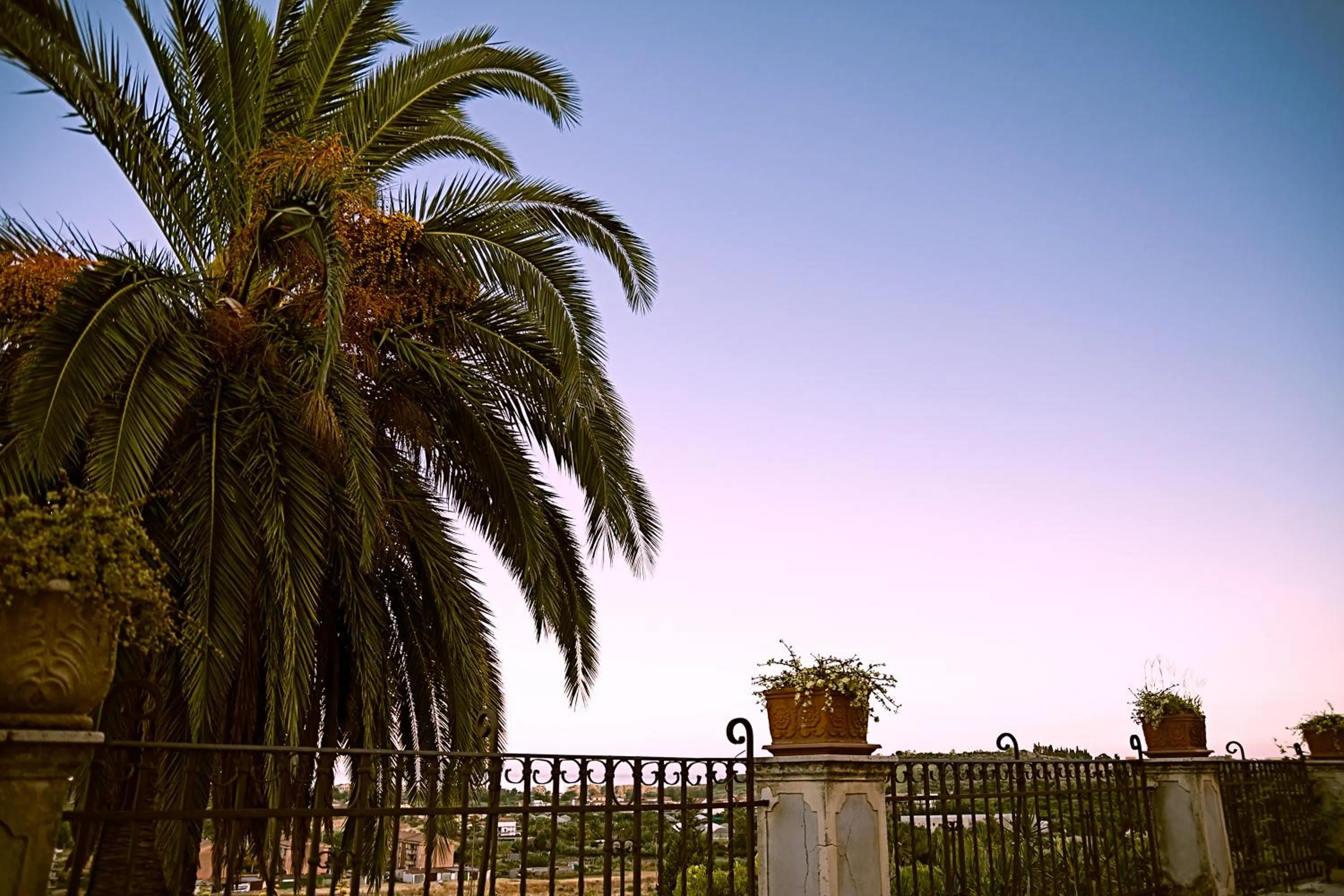 Garden in Antico Borgo Etneo Country Hotel