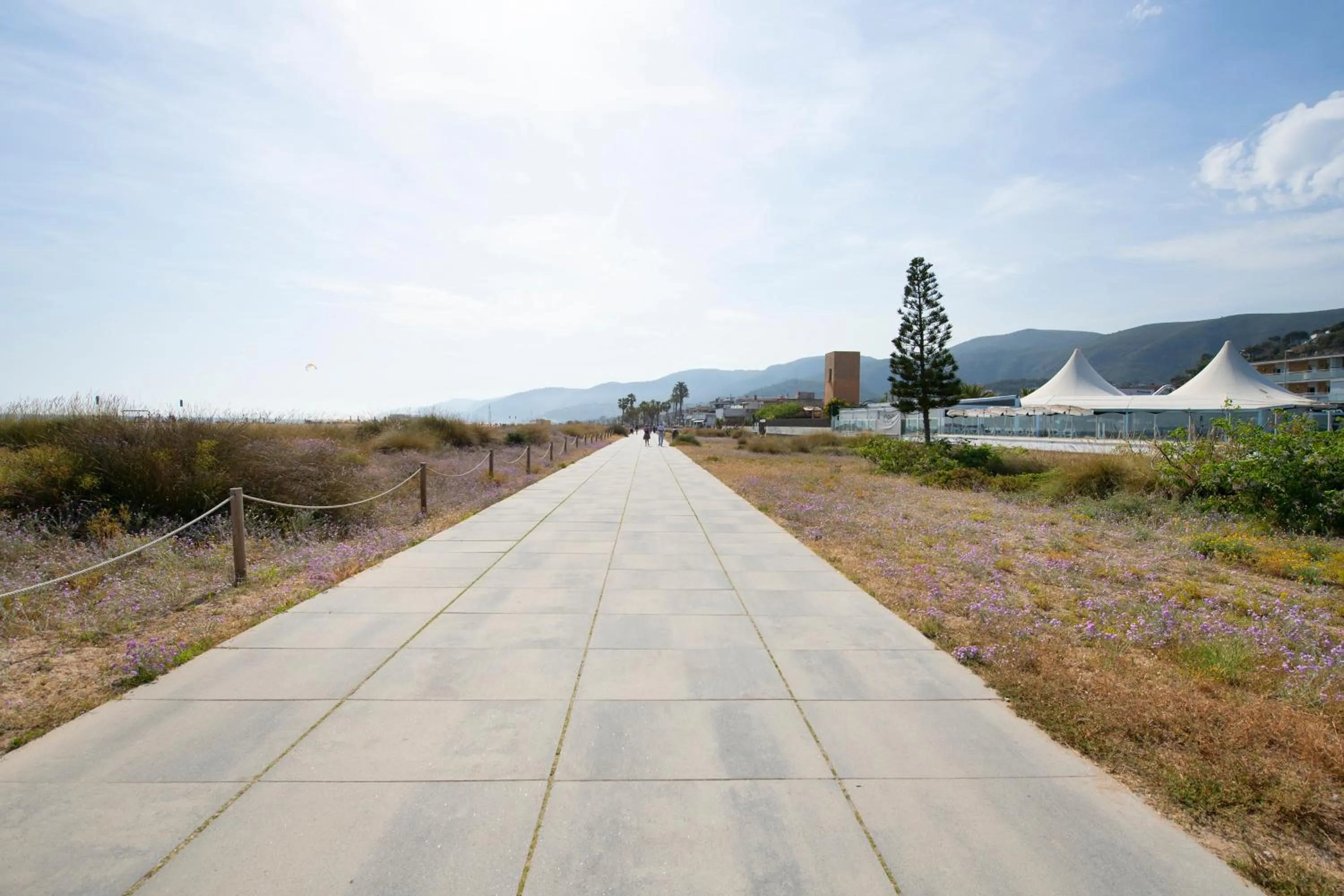 Apartamentos Balisse