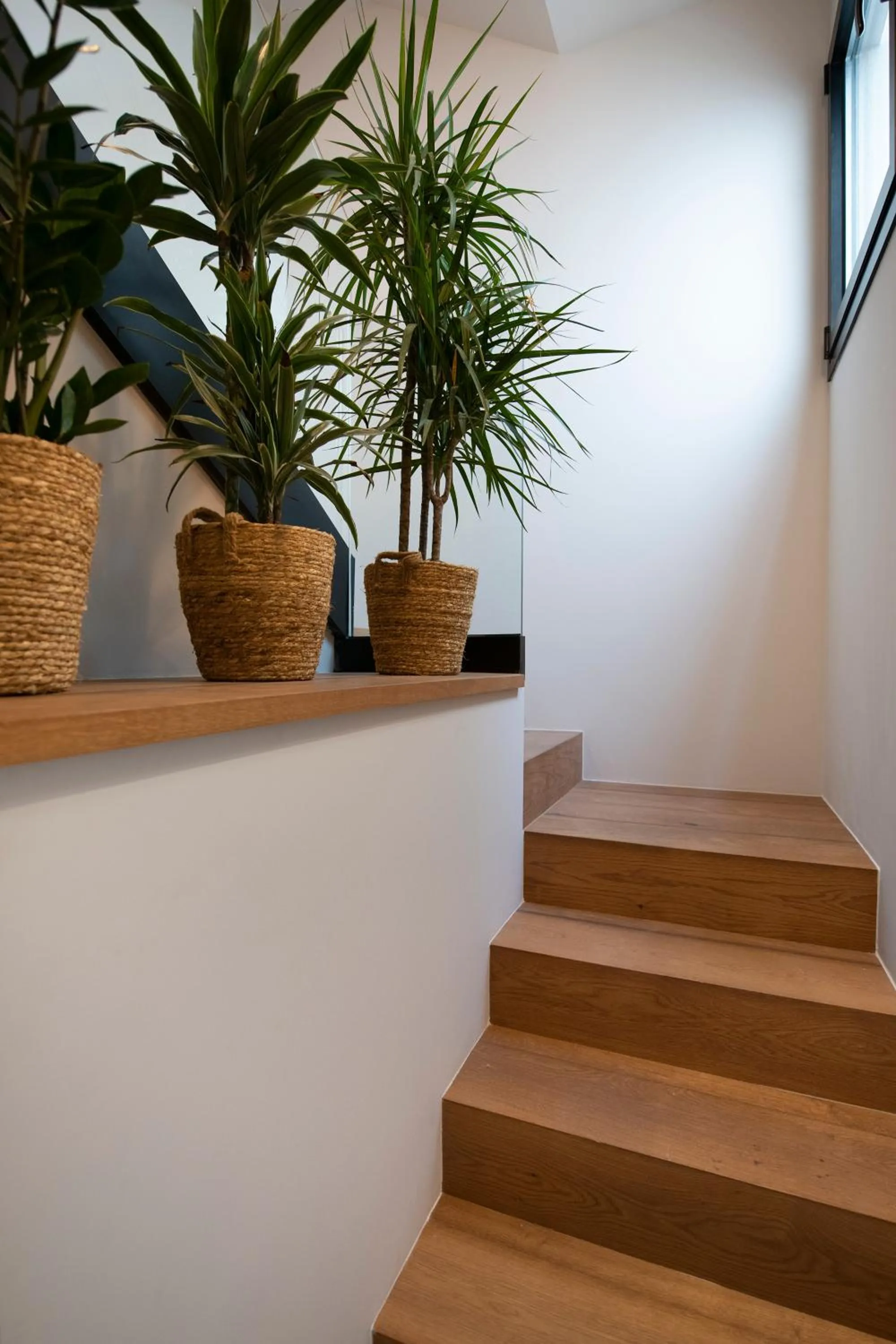 Apartamentos Balisse