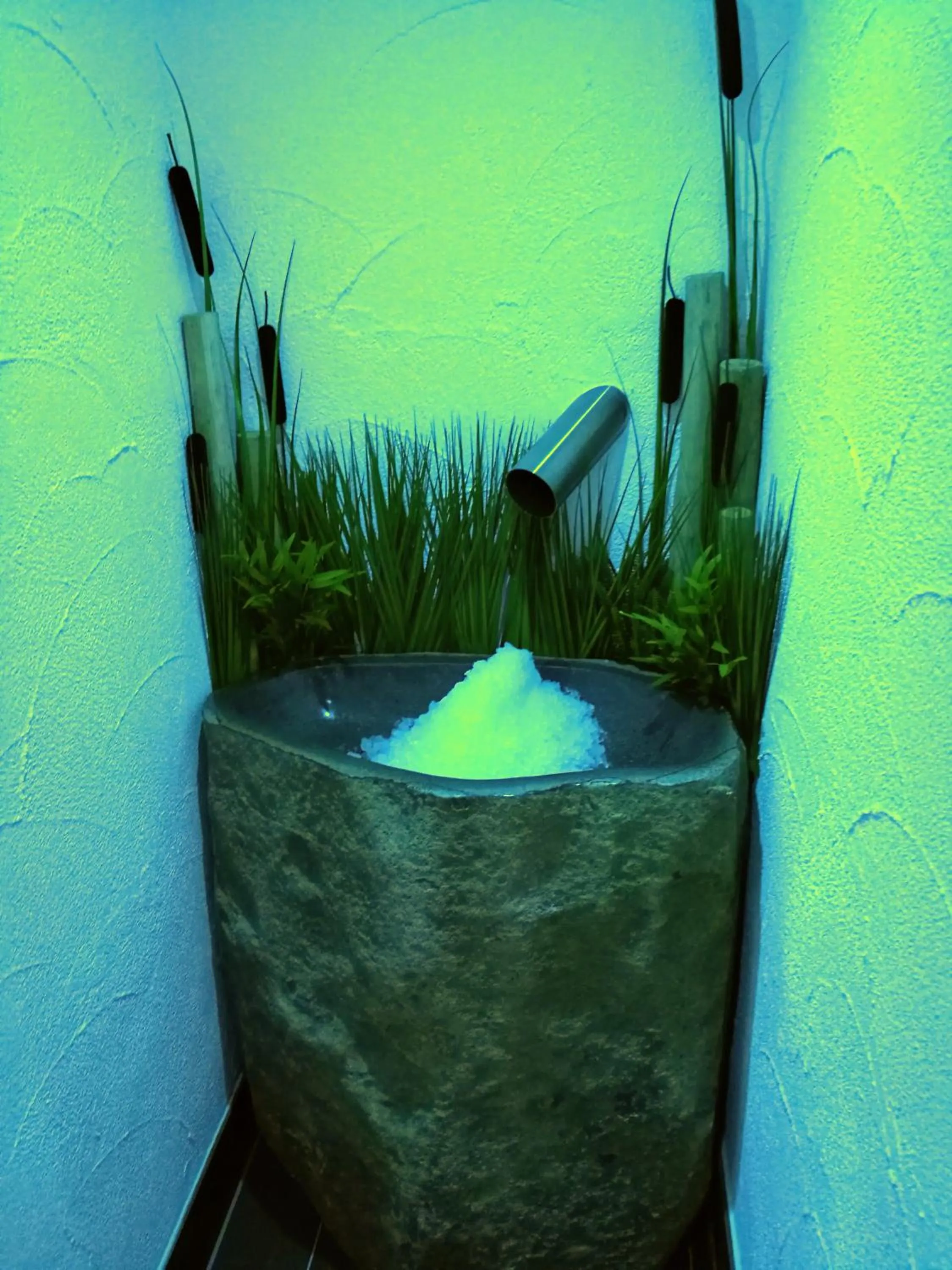 Area and facilities in Wellness Hotel Garni Krone