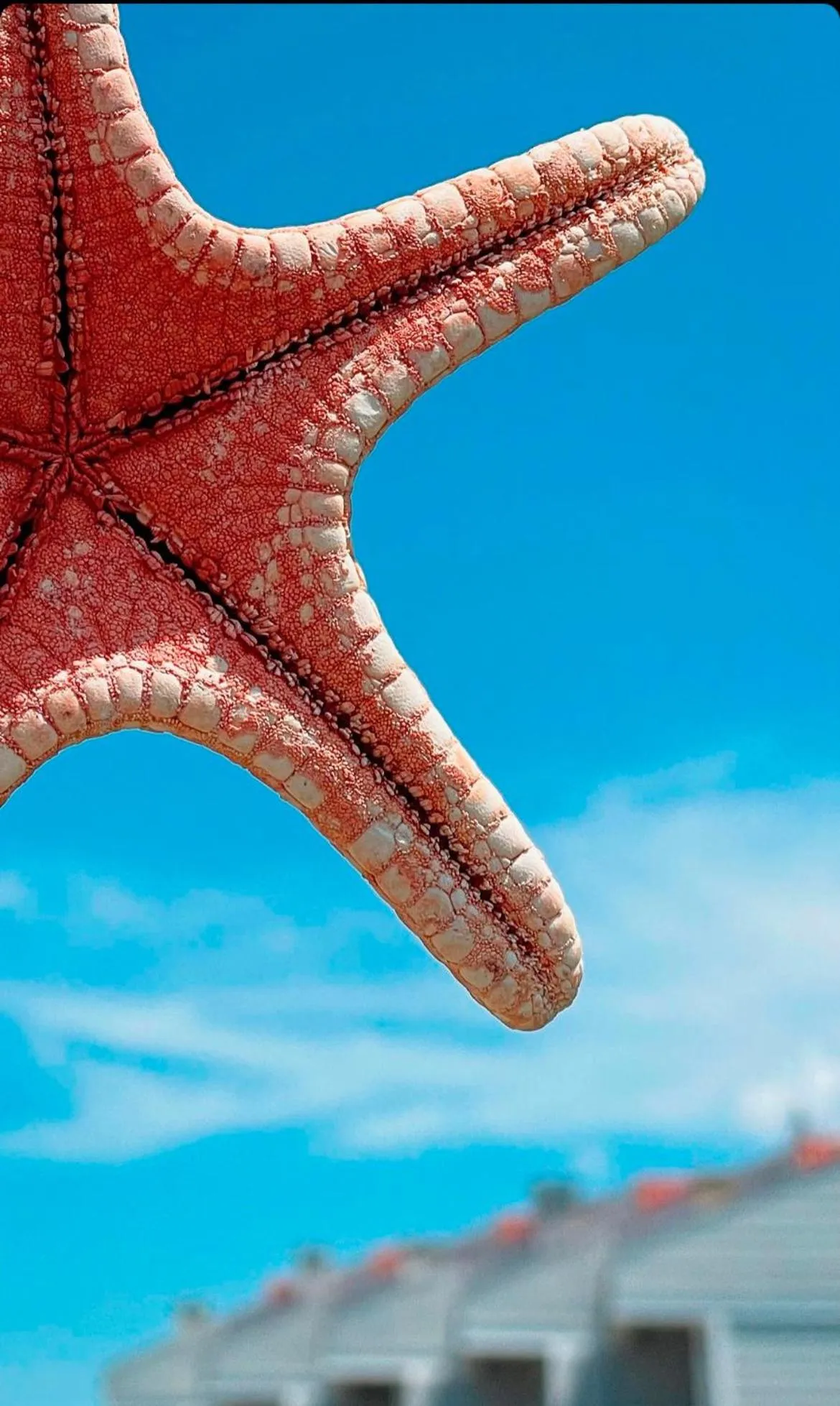 Day in çırpan apart otel