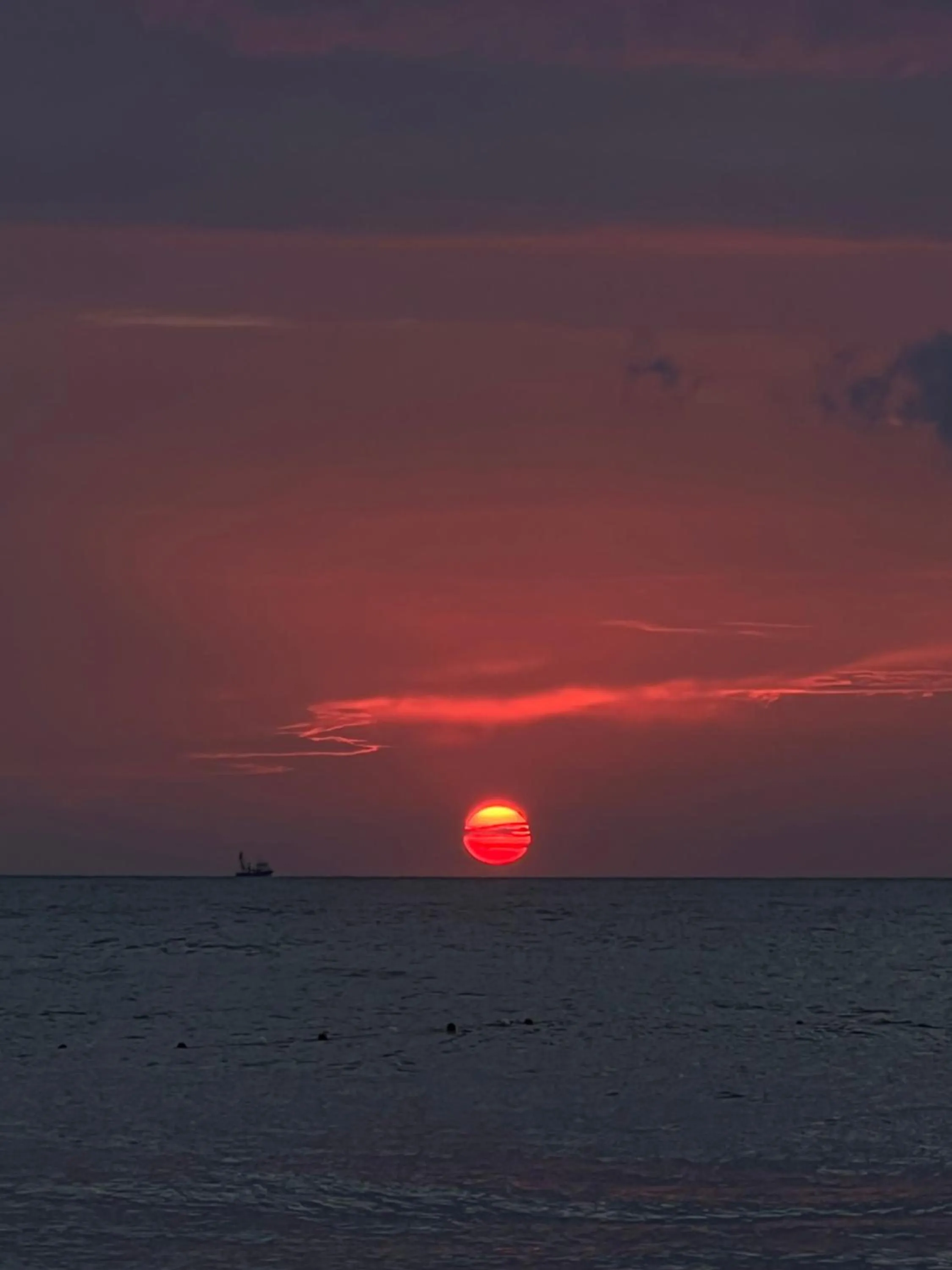 Day in çırpan apart otel