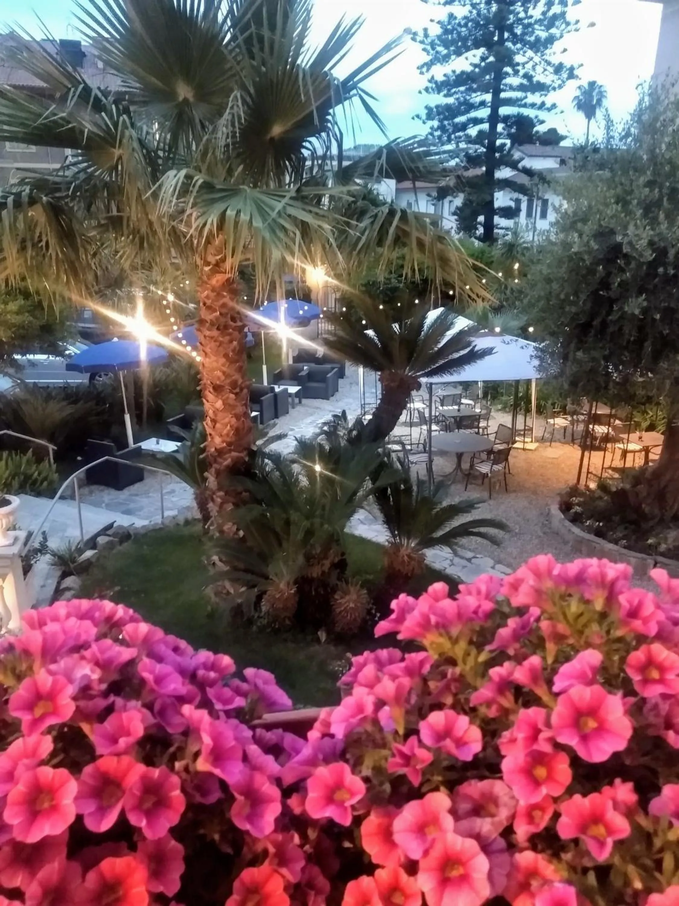 Garden in Hotel Morandi