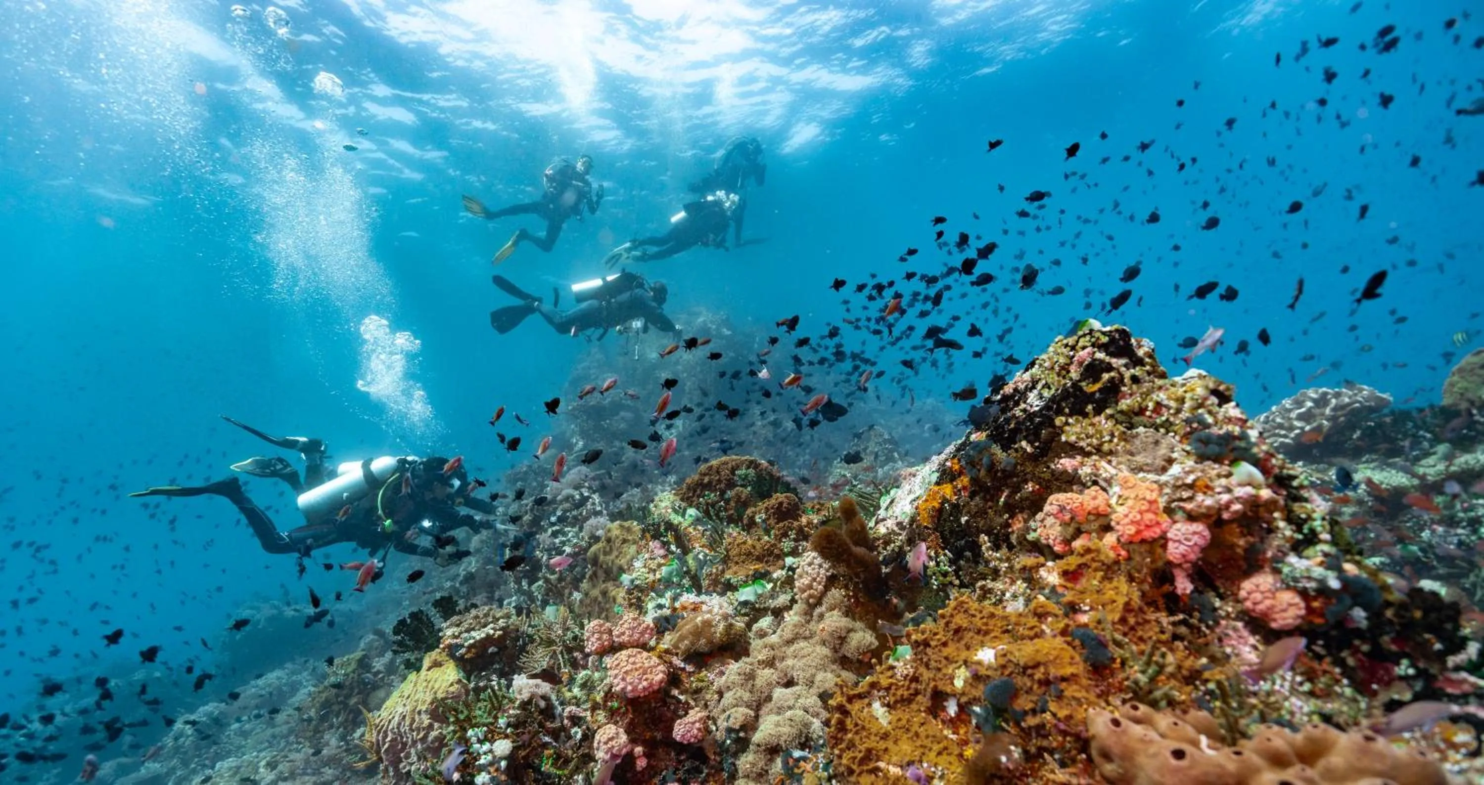 Natural landscape in Casalay Boutique Villas & Dive