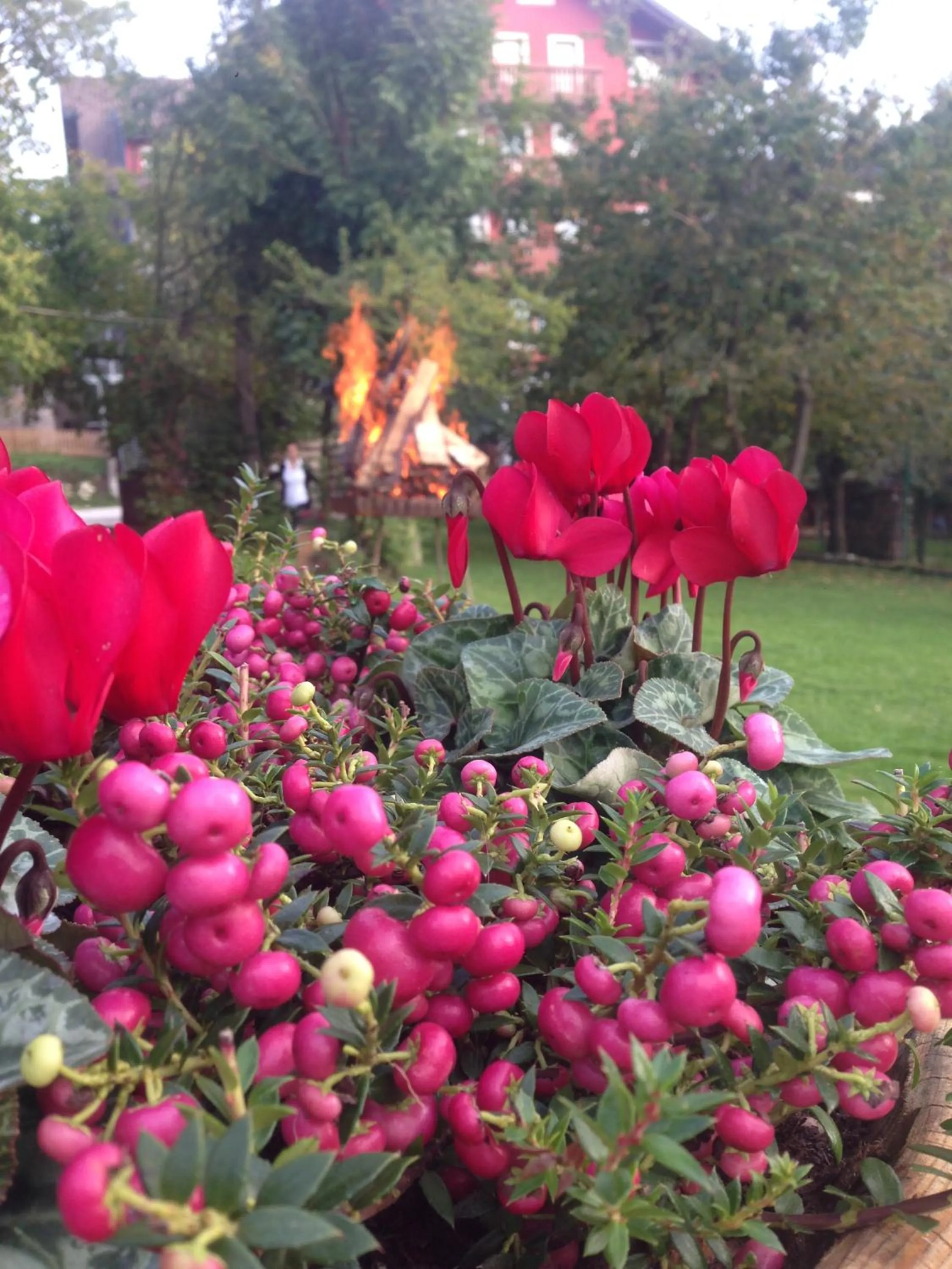 Property building in Hotel Vecchia Stazione Mountain Elegance