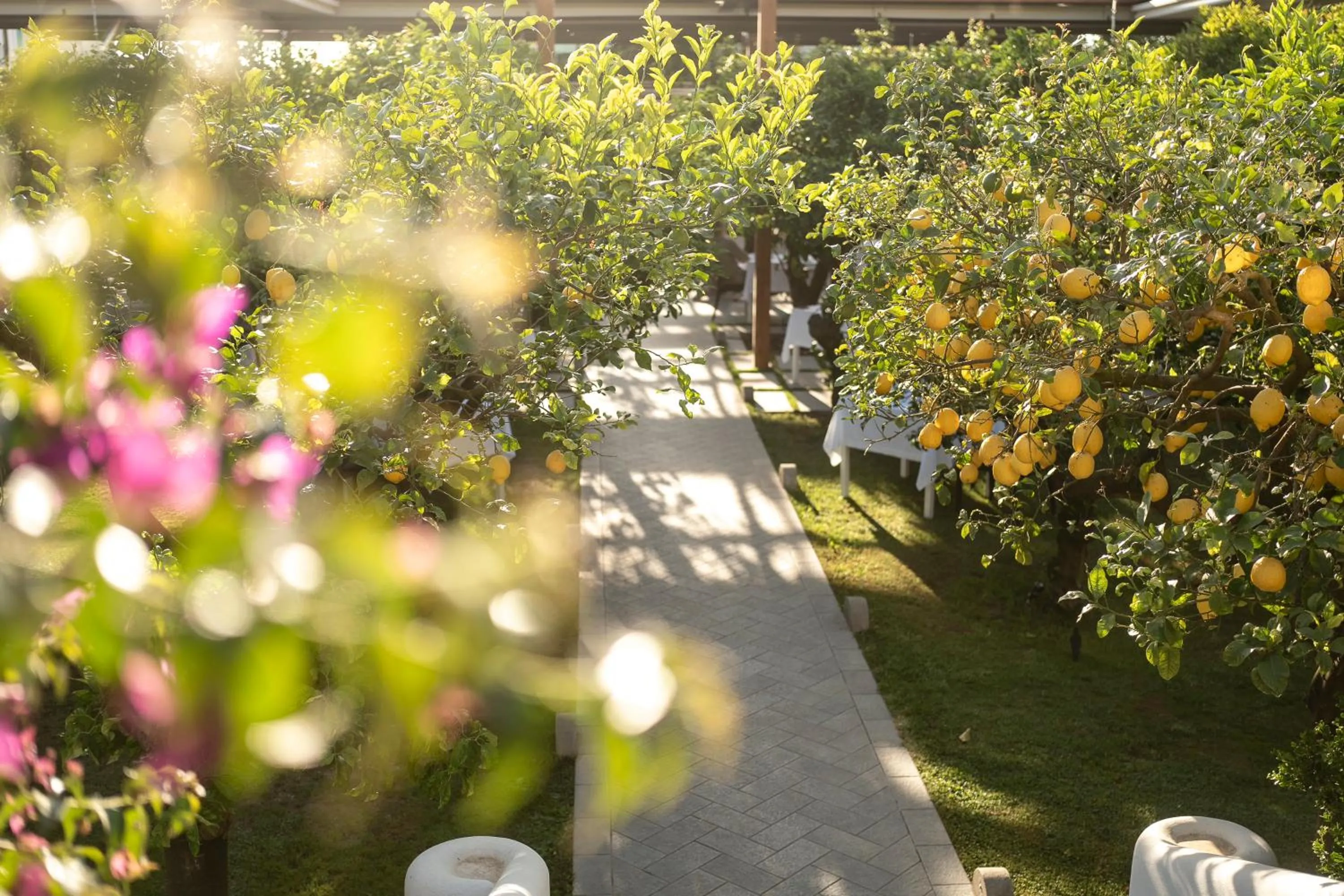 Restaurant/places to eat in Boutique Hotel Casa Mariantonia