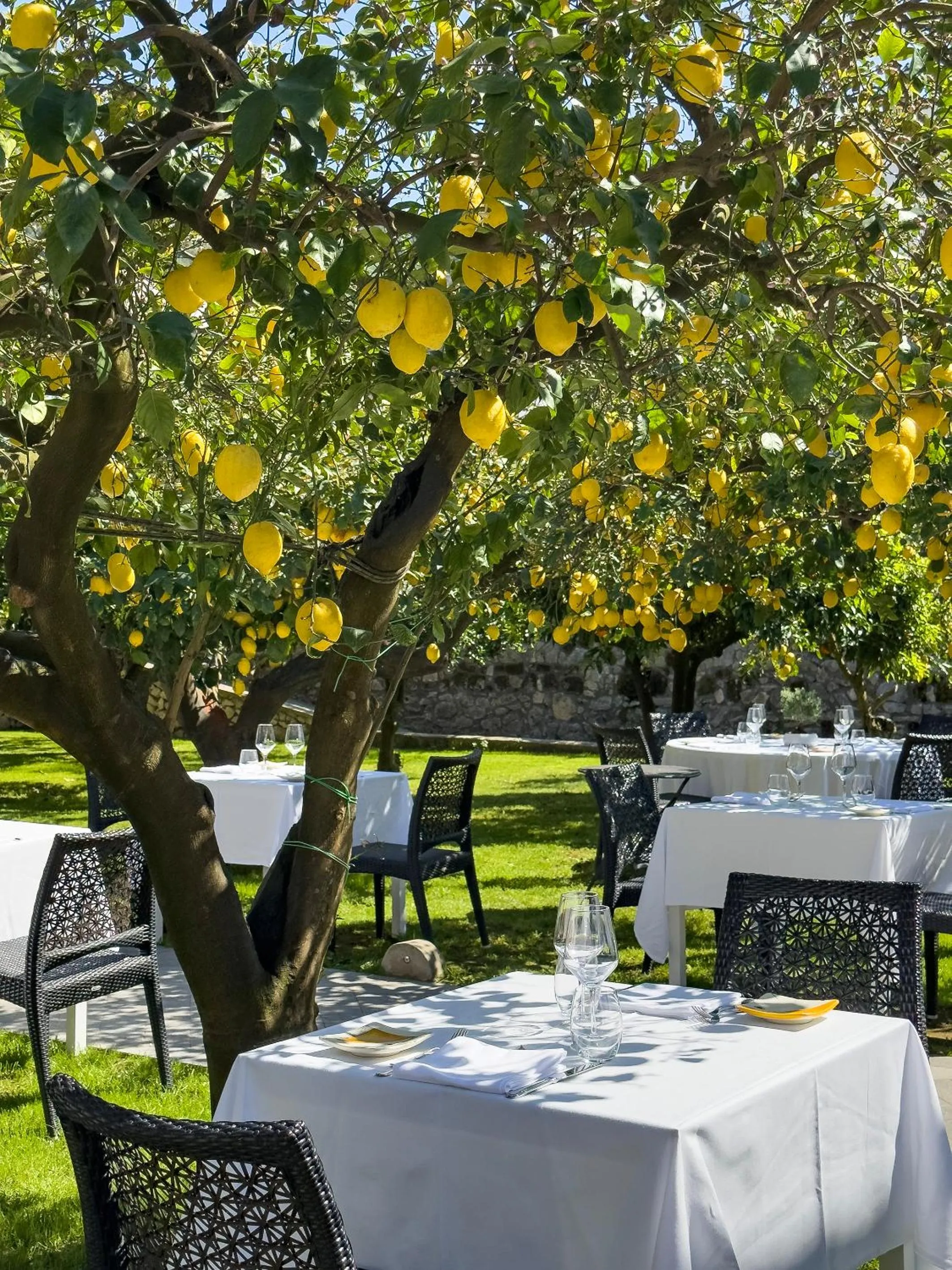 Restaurant/places to eat in Boutique Hotel Casa Mariantonia