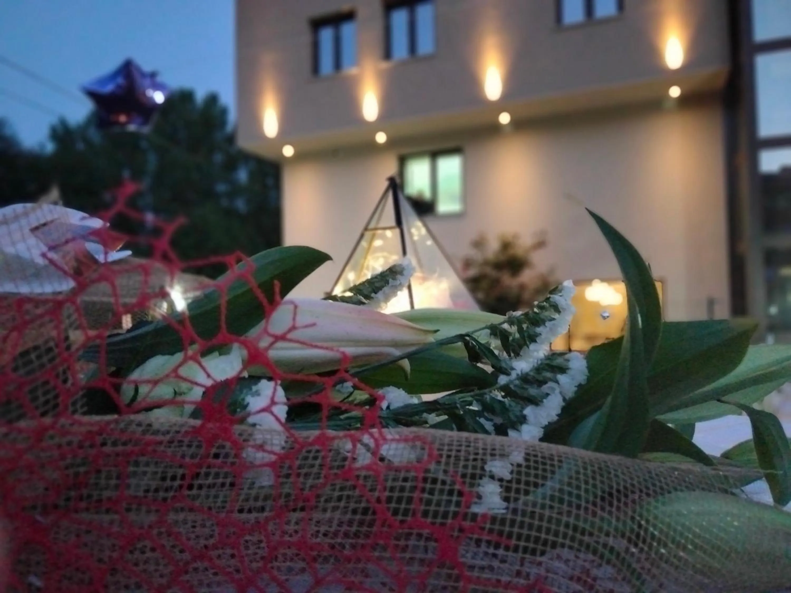 Garden in Hotel Ristorante Caligiuri