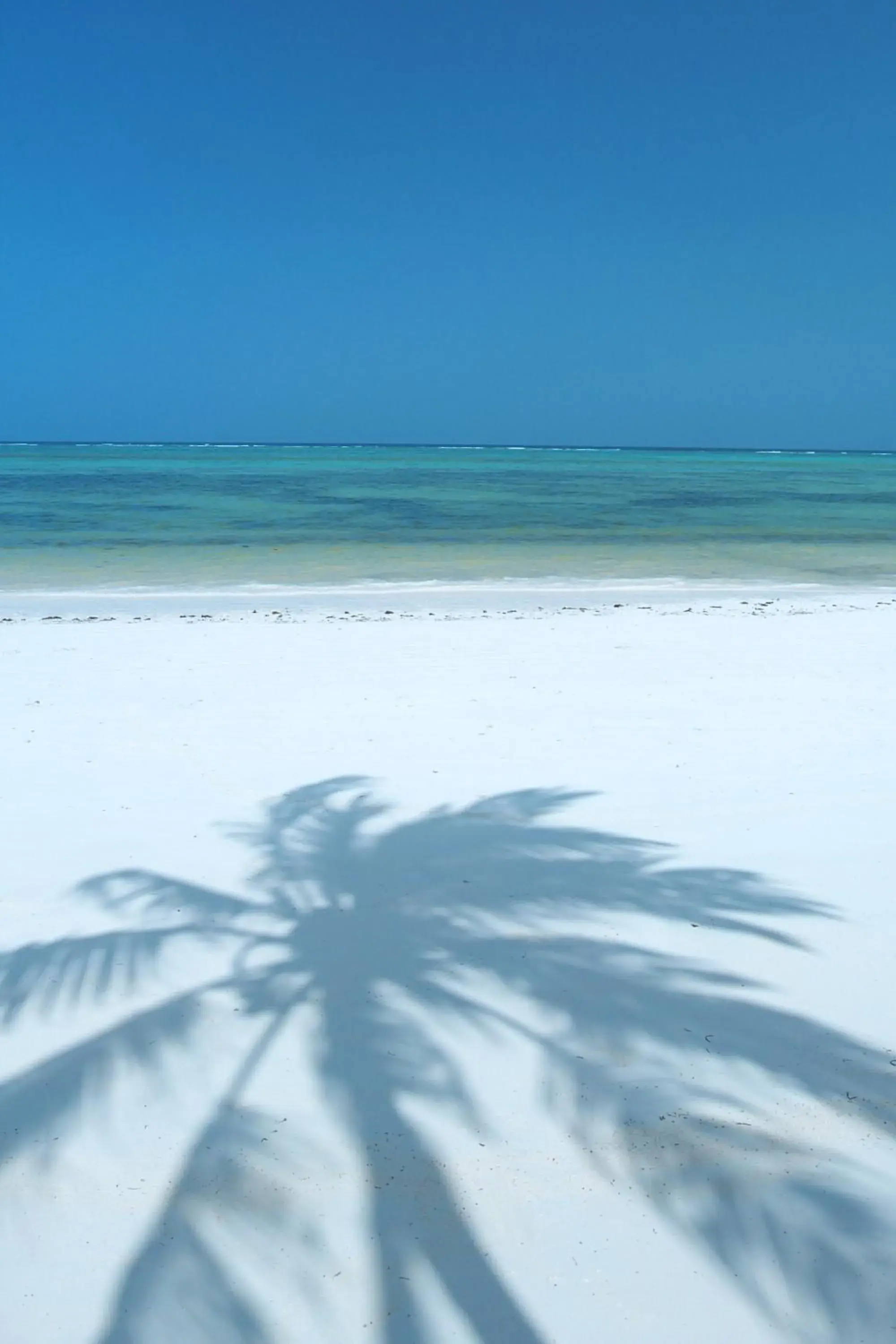 View (from property/room) in The Palms Zanzibar View (from property/room) in The Palms Zanzibar