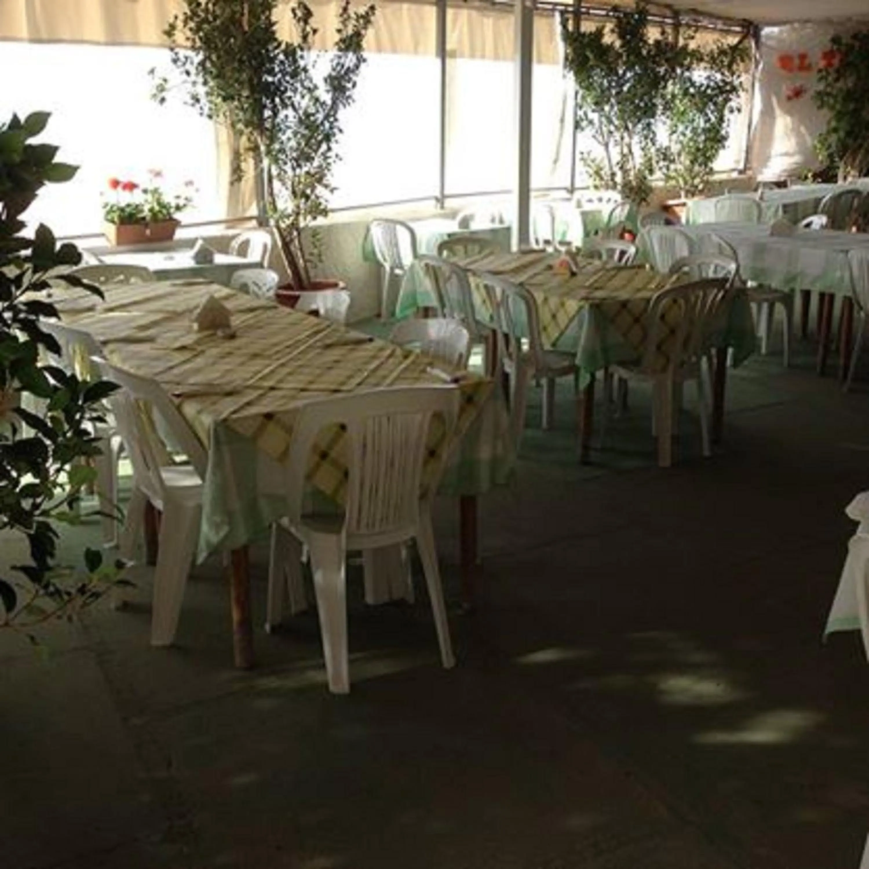 Restaurant/places to eat in Case Playa