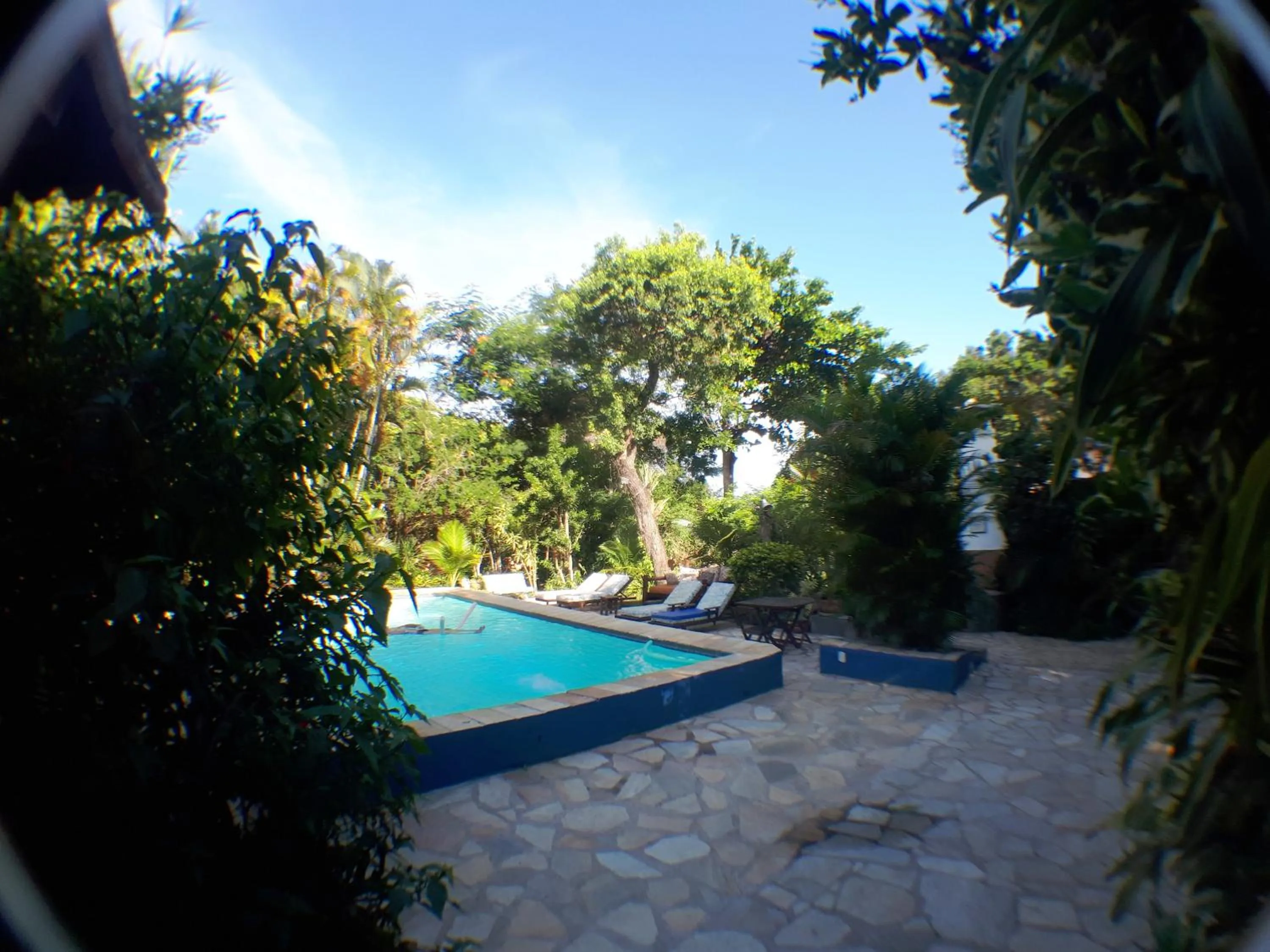 Garden view in Pousada Alicia