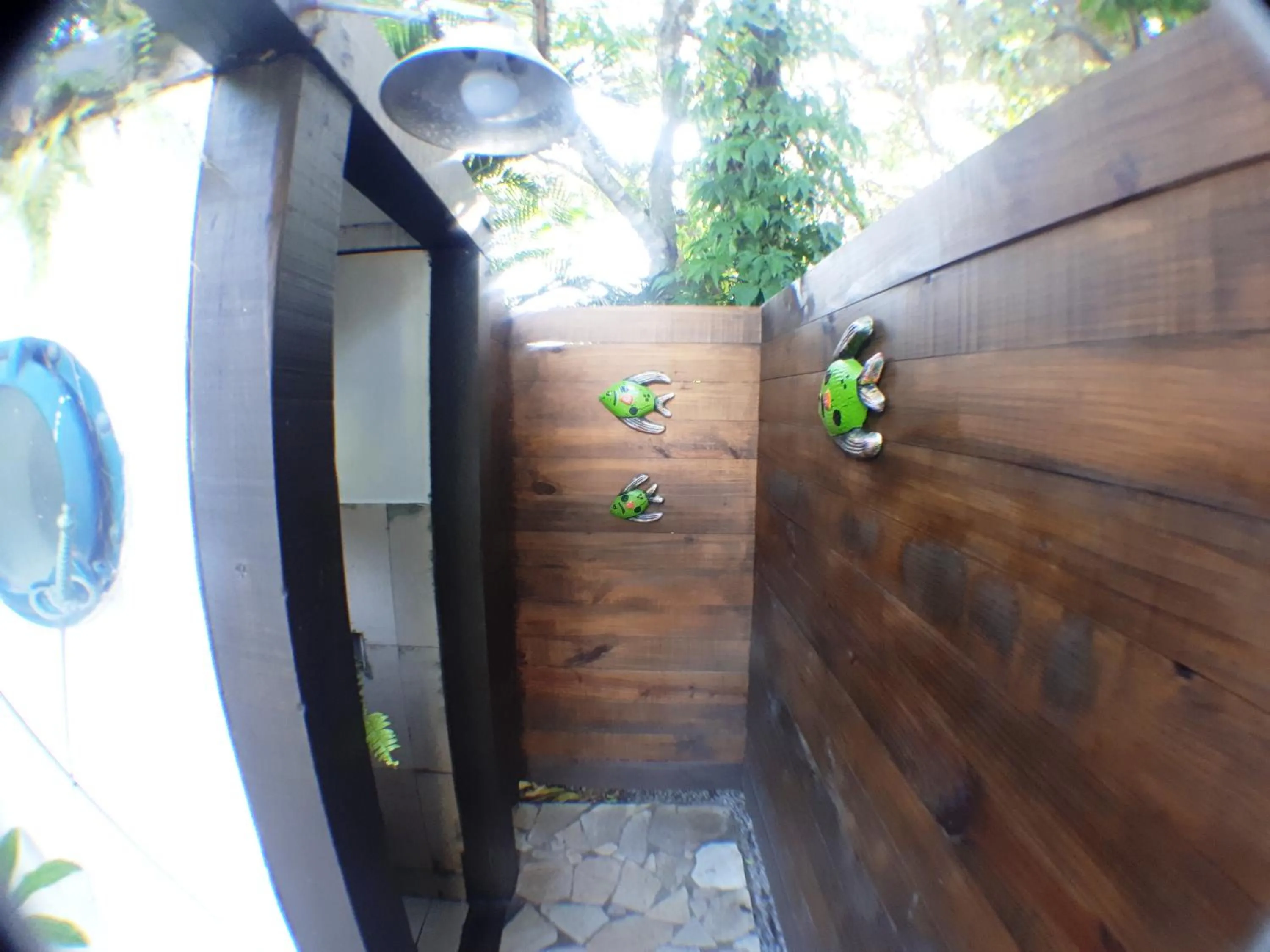 Area and facilities in Pousada Alicia