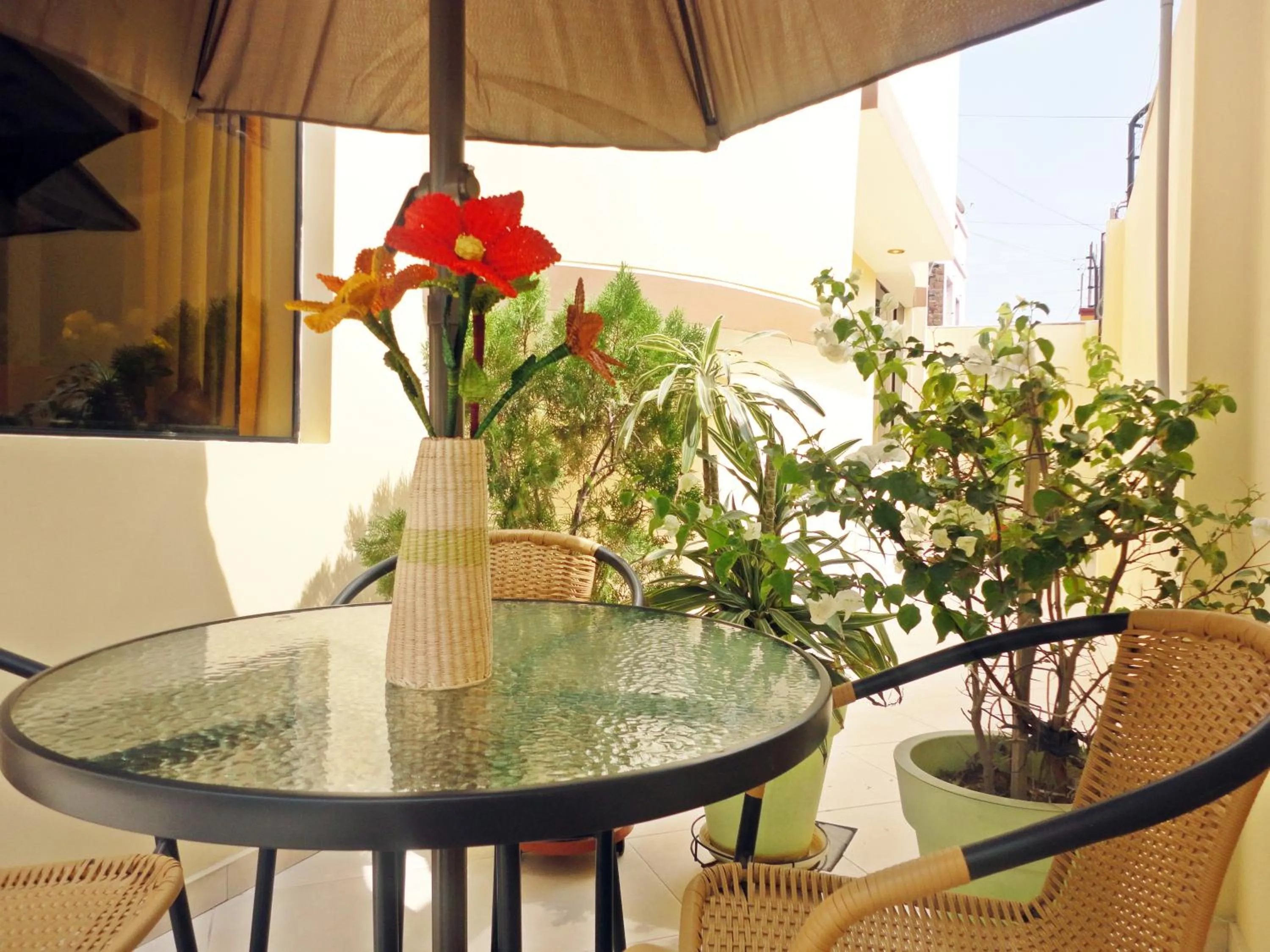 Patio in Hotel Torontel