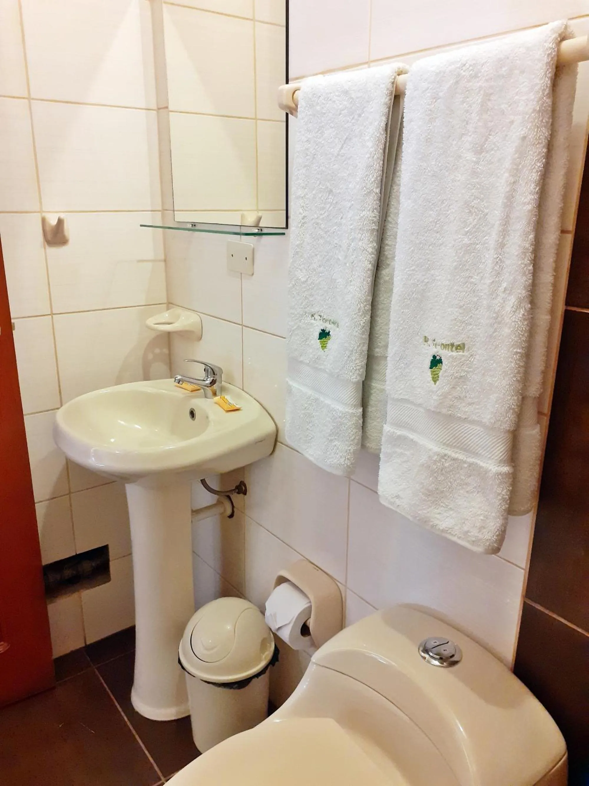 Bathroom in Hotel Torontel