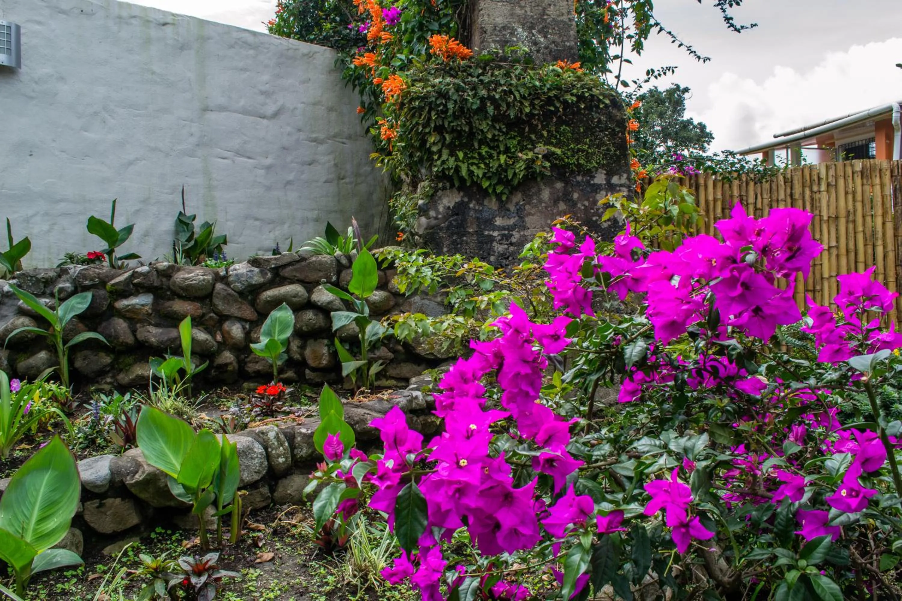 Garden in Downtown Suites