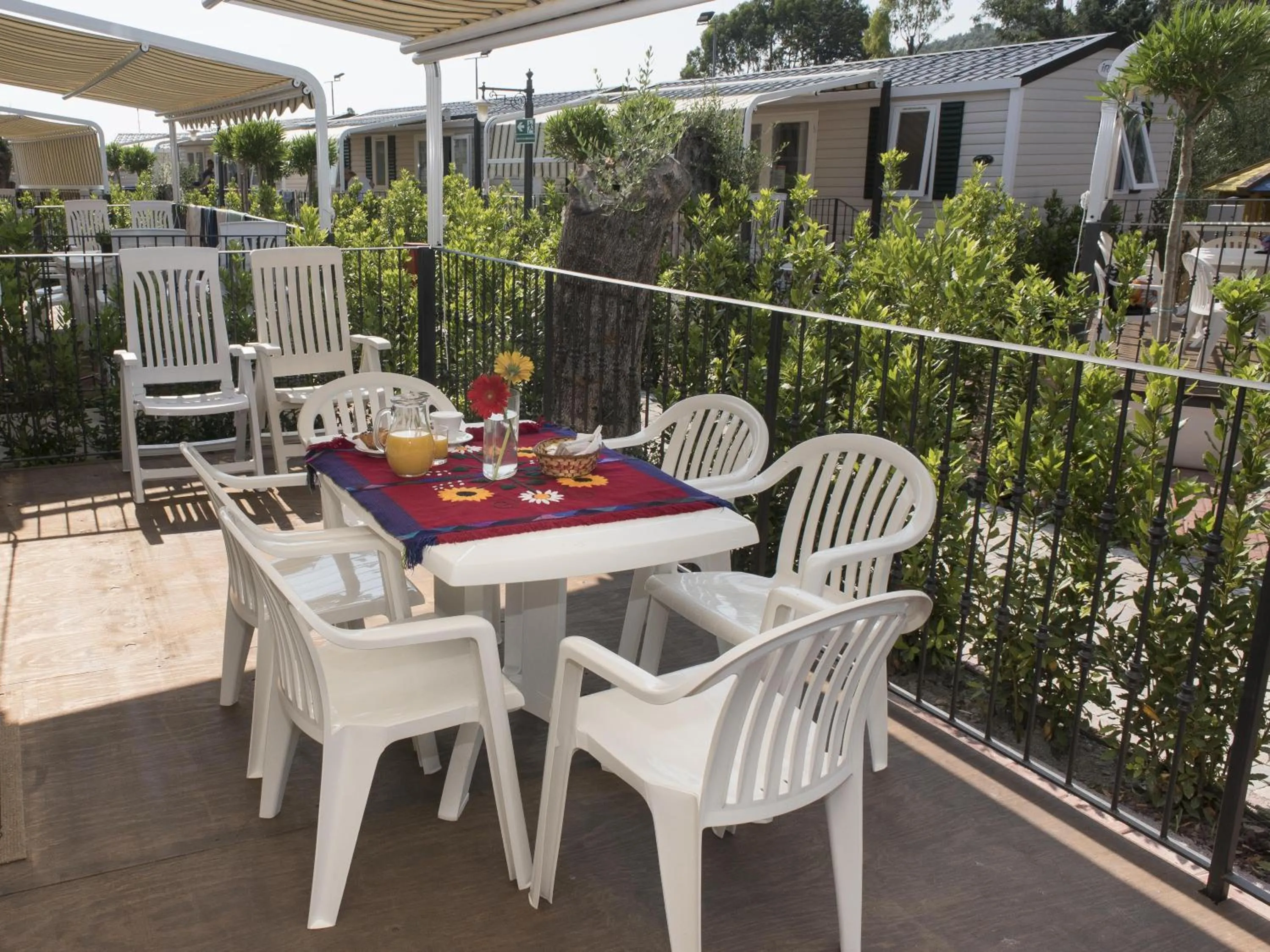 Patio in Camping Edy