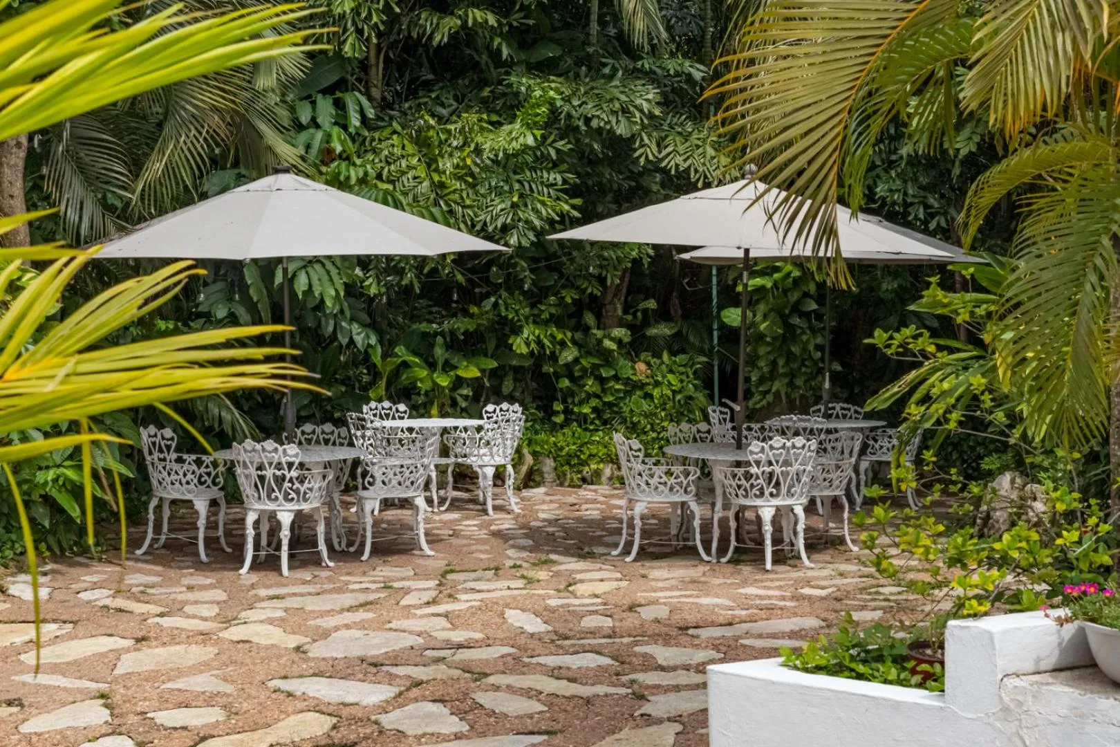 Garden in Hotel Cañada Internacional