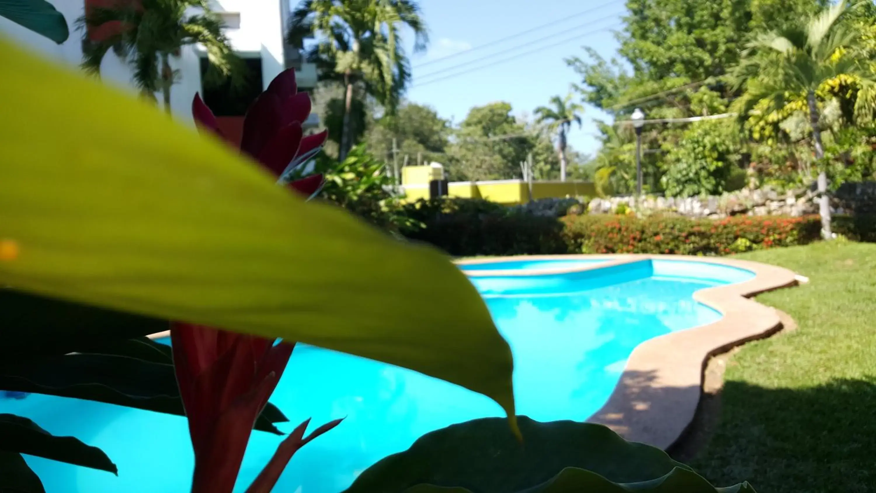 Swimming pool in Hotel Cañada Internacional Swimming pool in Hotel Cañada Internacional
