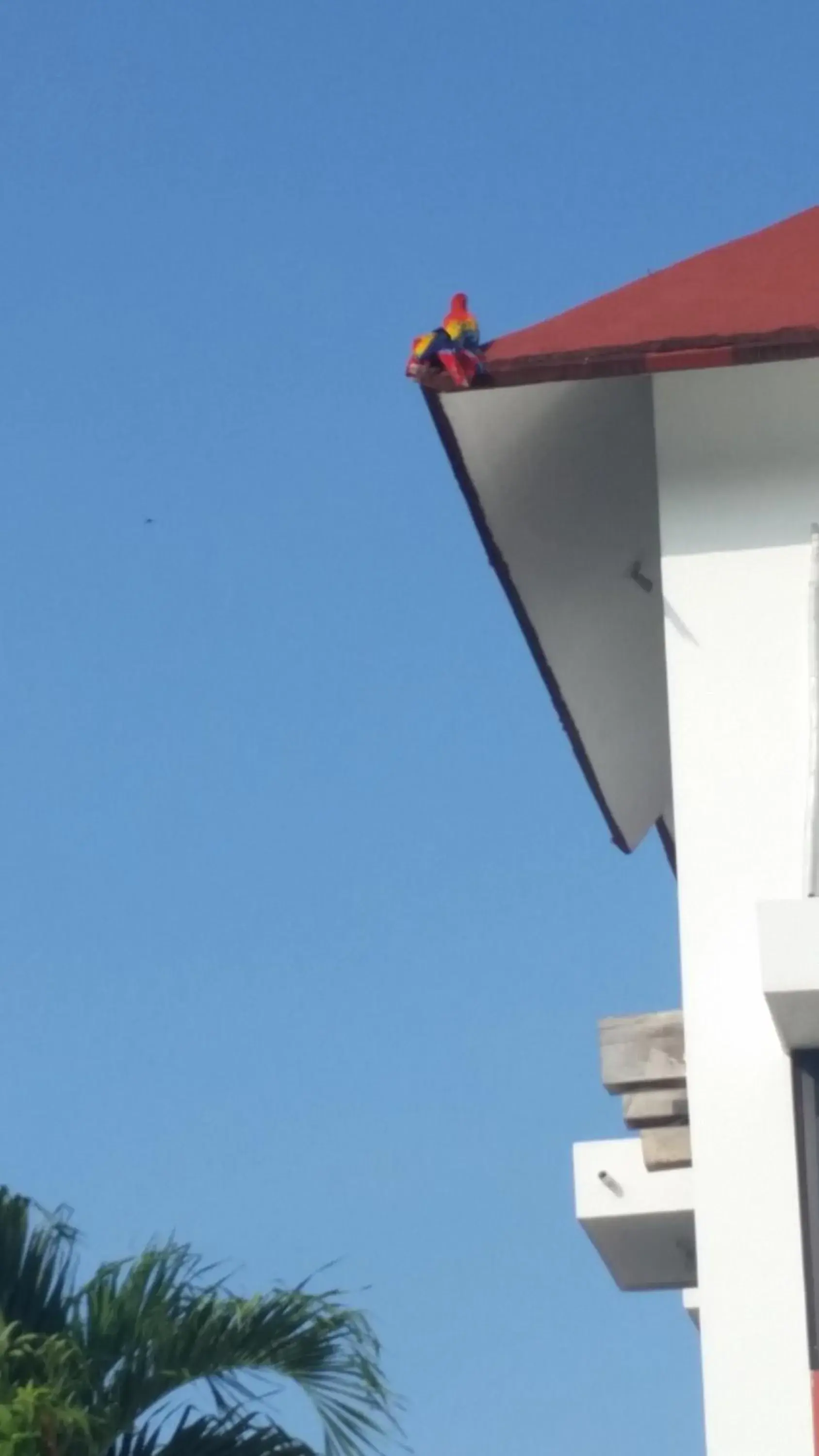 Garden view in Hotel Cañada Internacional Garden view in Hotel Cañada Internacional