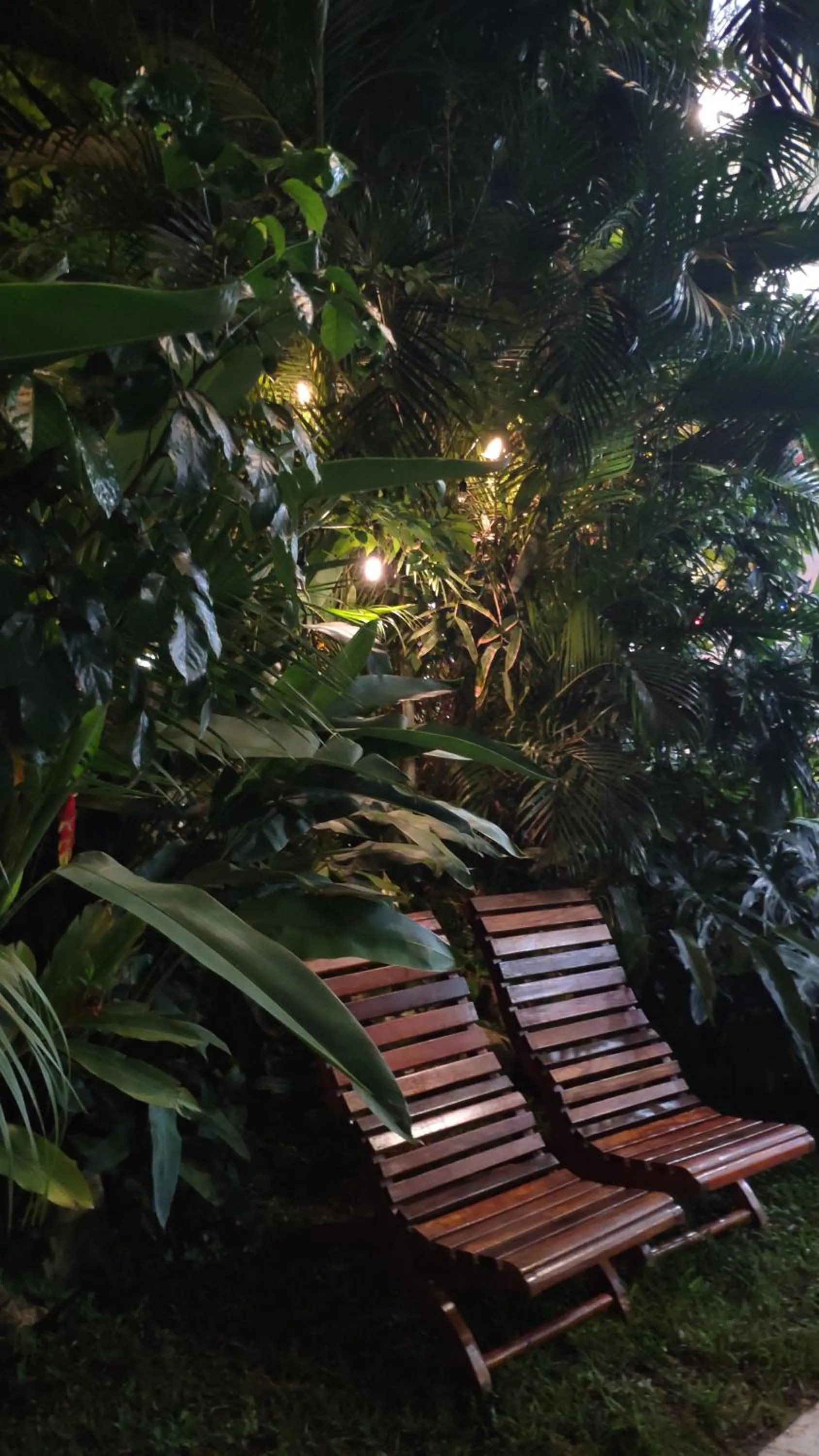 Garden in Hotel Cañada Internacional