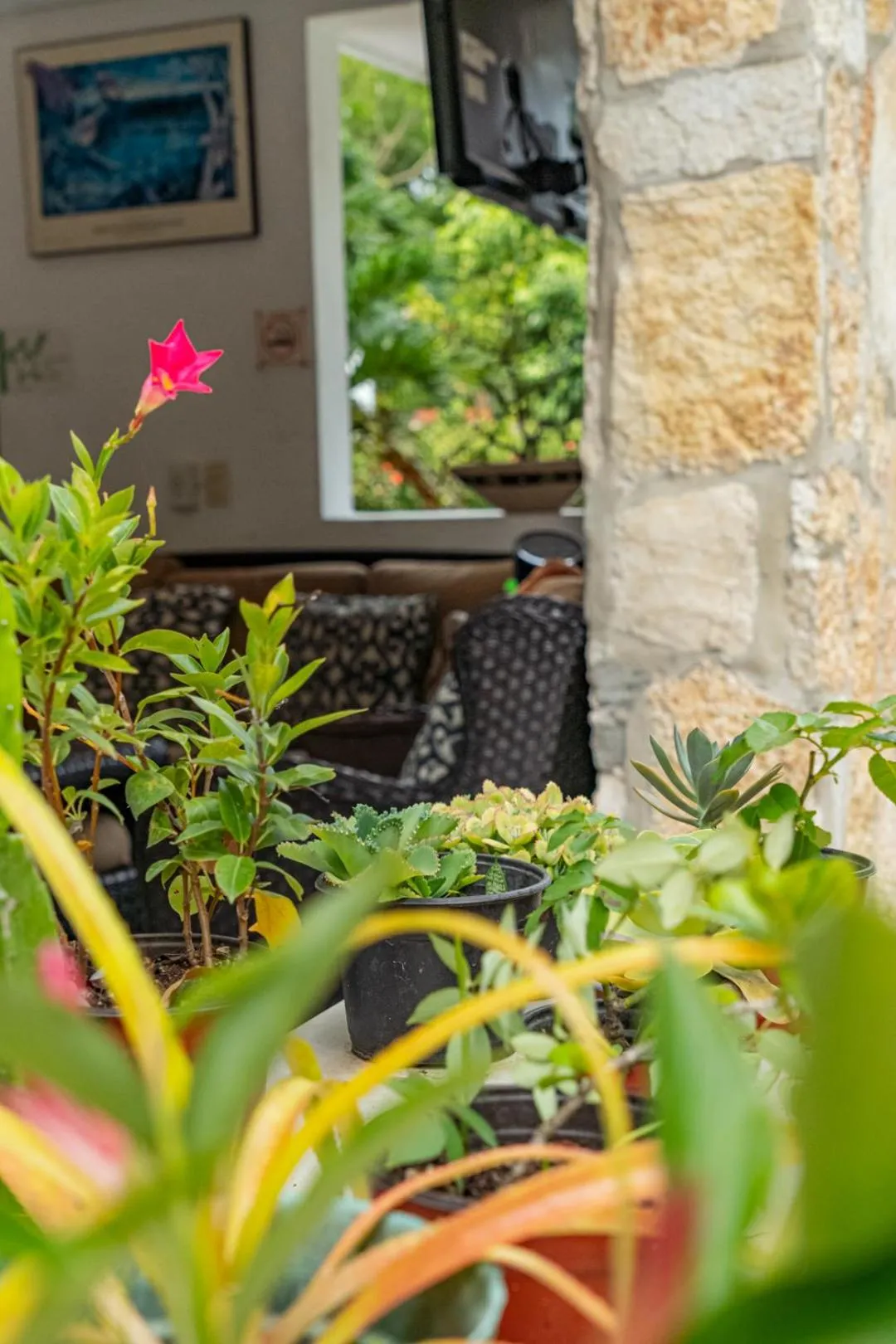 Lobby or reception in Hotel Cañada Internacional