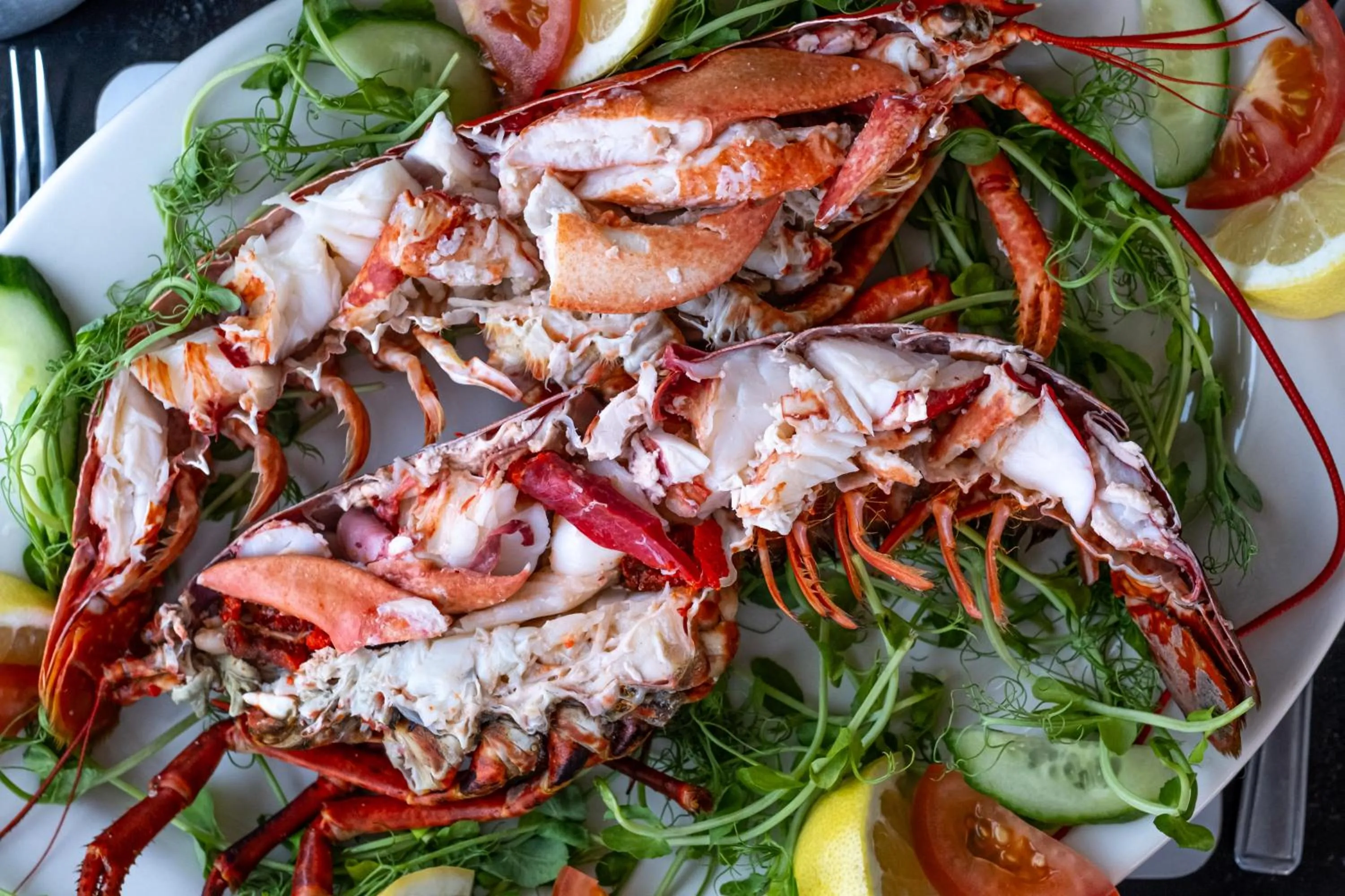 Food and drinks in The Upper Largo Hotel & Restaurant