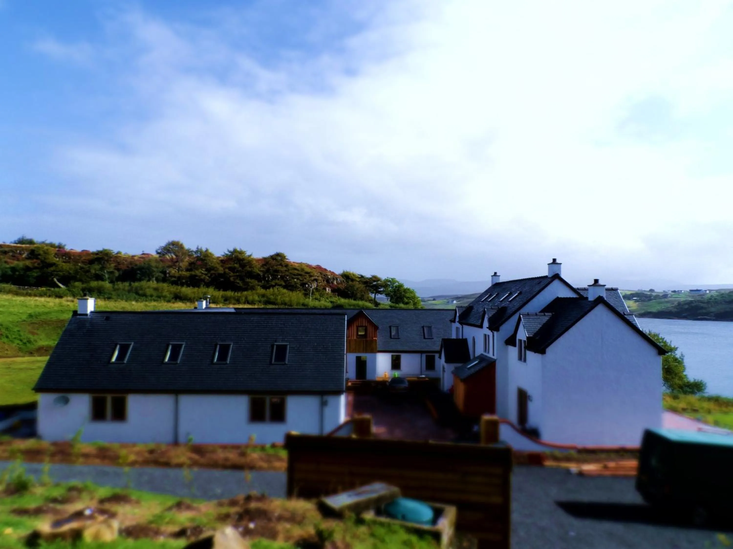 Bird's eye view in Redwood House