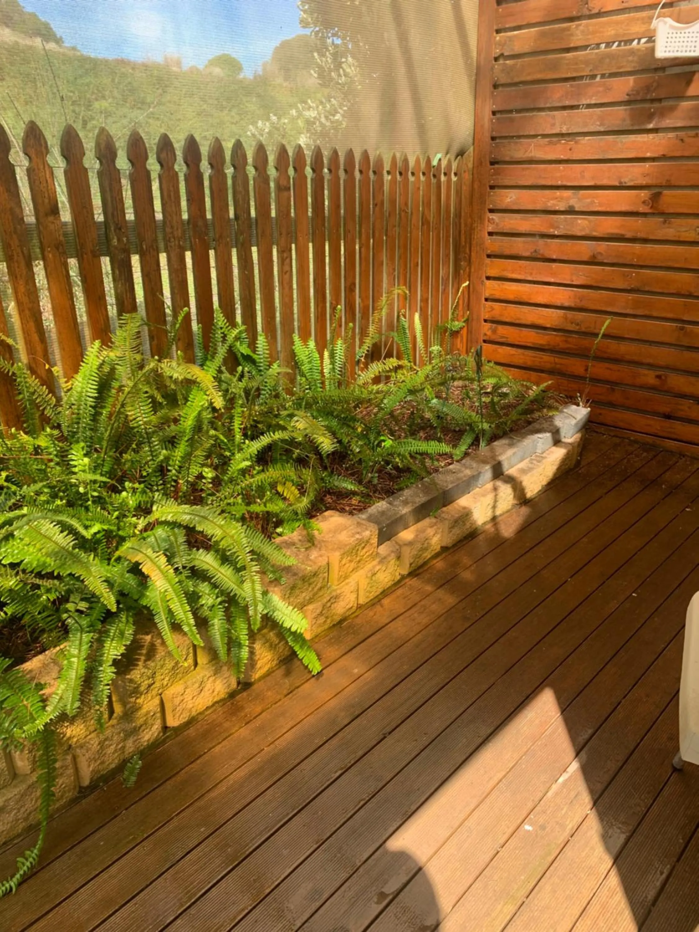 Garden in On The Terrace Stanley