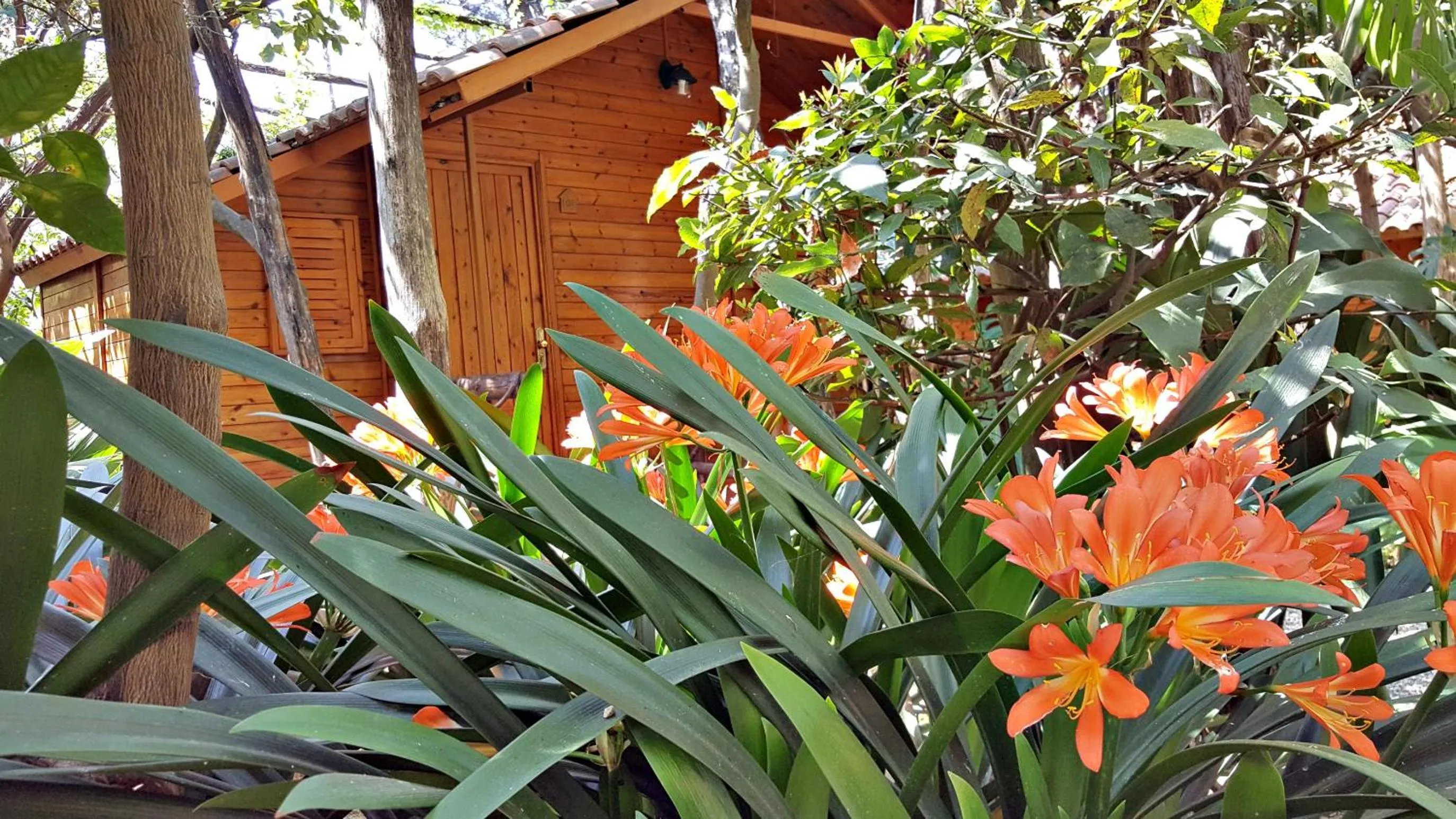 Garden view in Residence Villaggio Verde