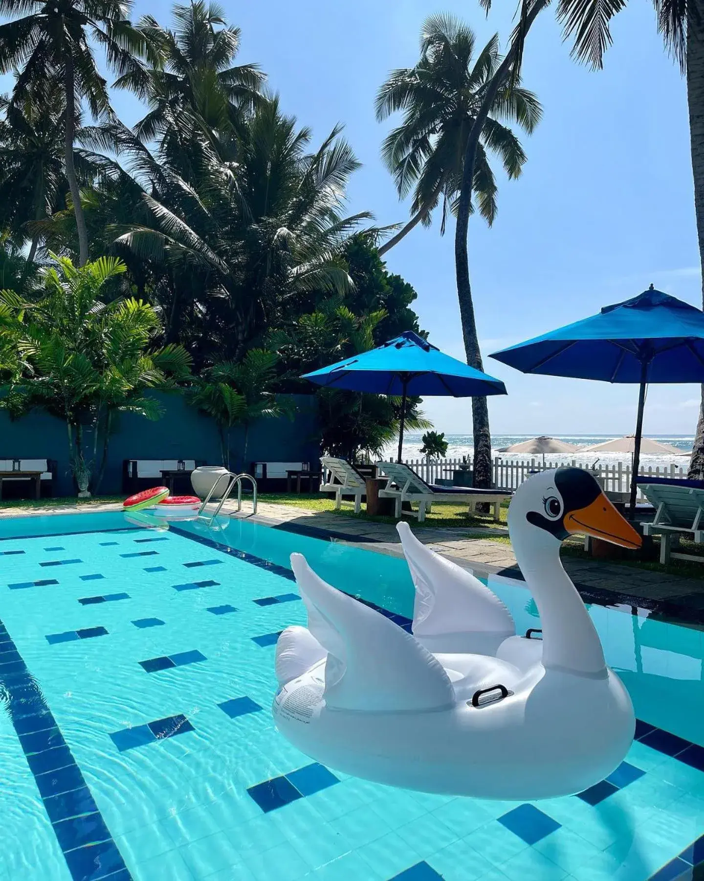 Swimming pool in Smeralda Resorts Dikwella Swimming pool in Smeralda Resorts Dikwella