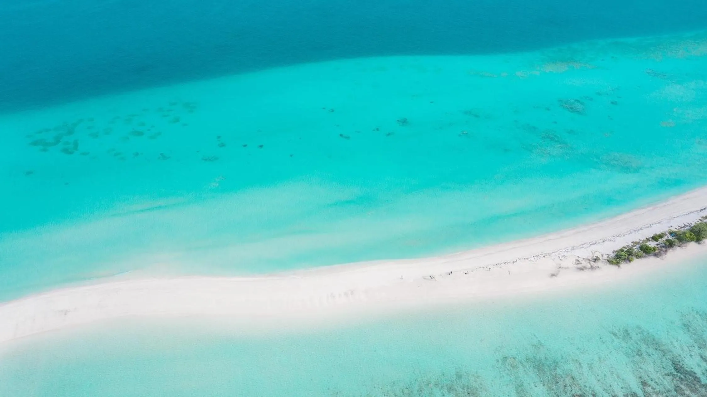 Beach in Sands Grand