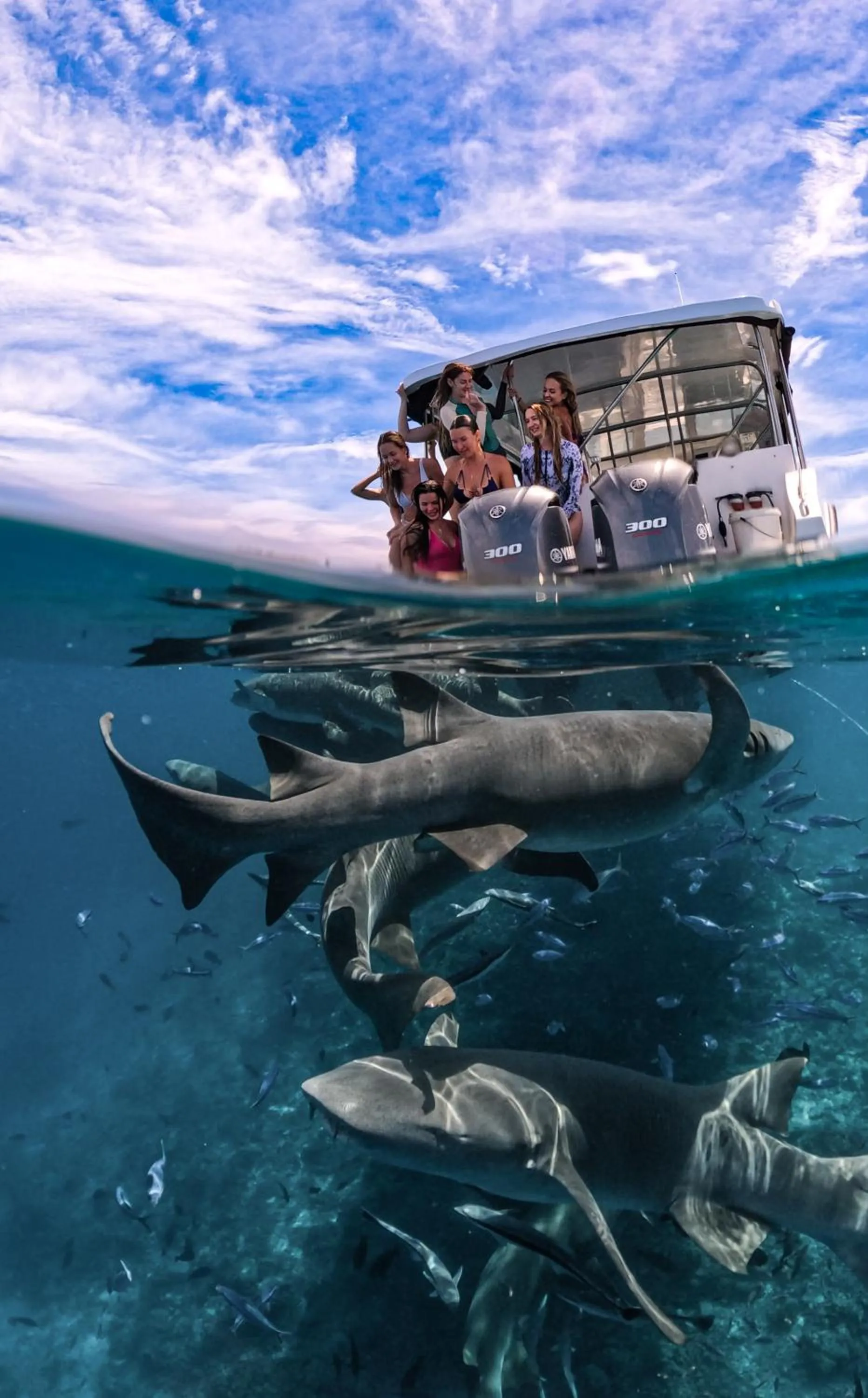 Snorkeling in Sands Grand