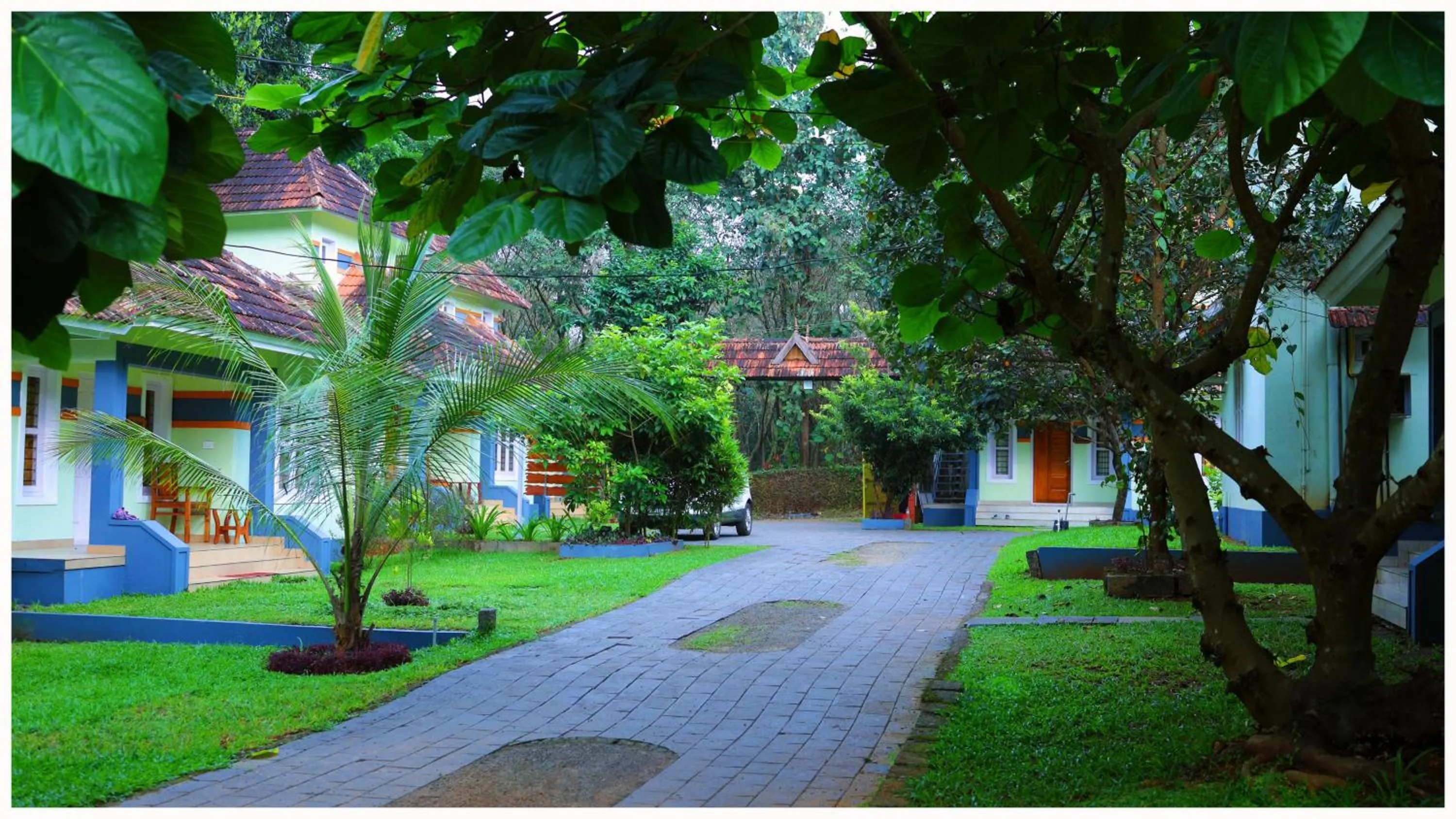 Spring in Vajra Ayurveda and Yoga Retreat