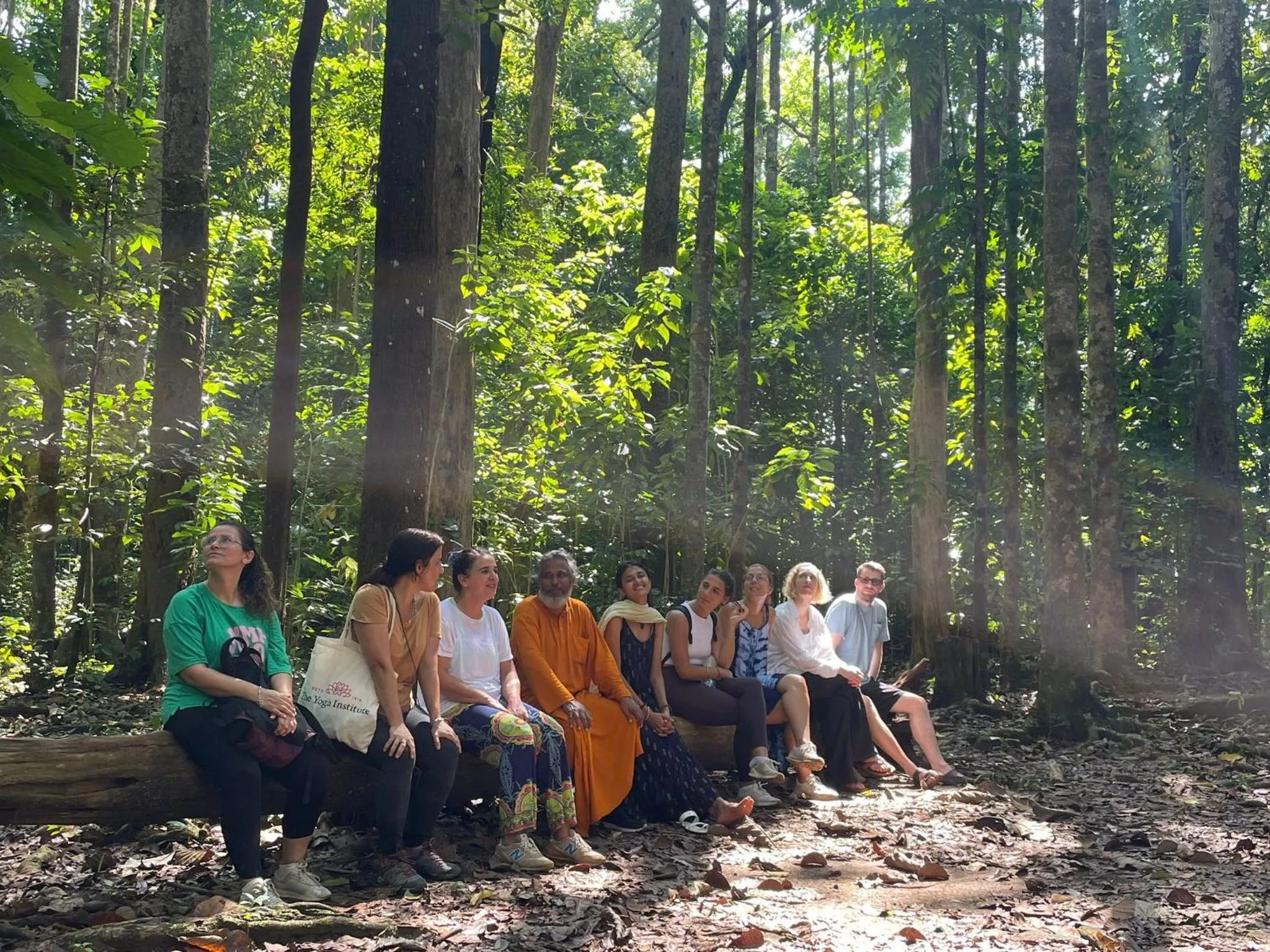 Spring in Vajra Ayurveda and Yoga Retreat