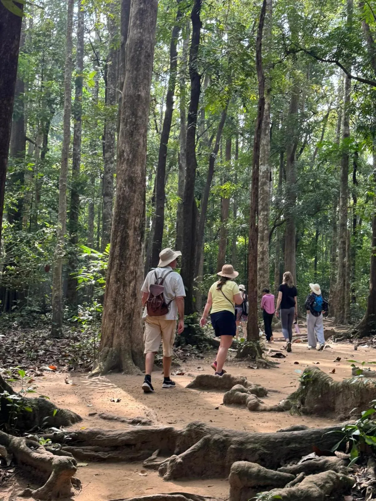 Spring in Vajra Ayurveda and Yoga Retreat