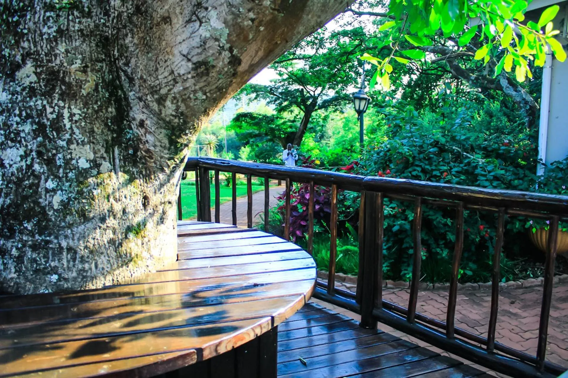 Harnham Mountain Lodge