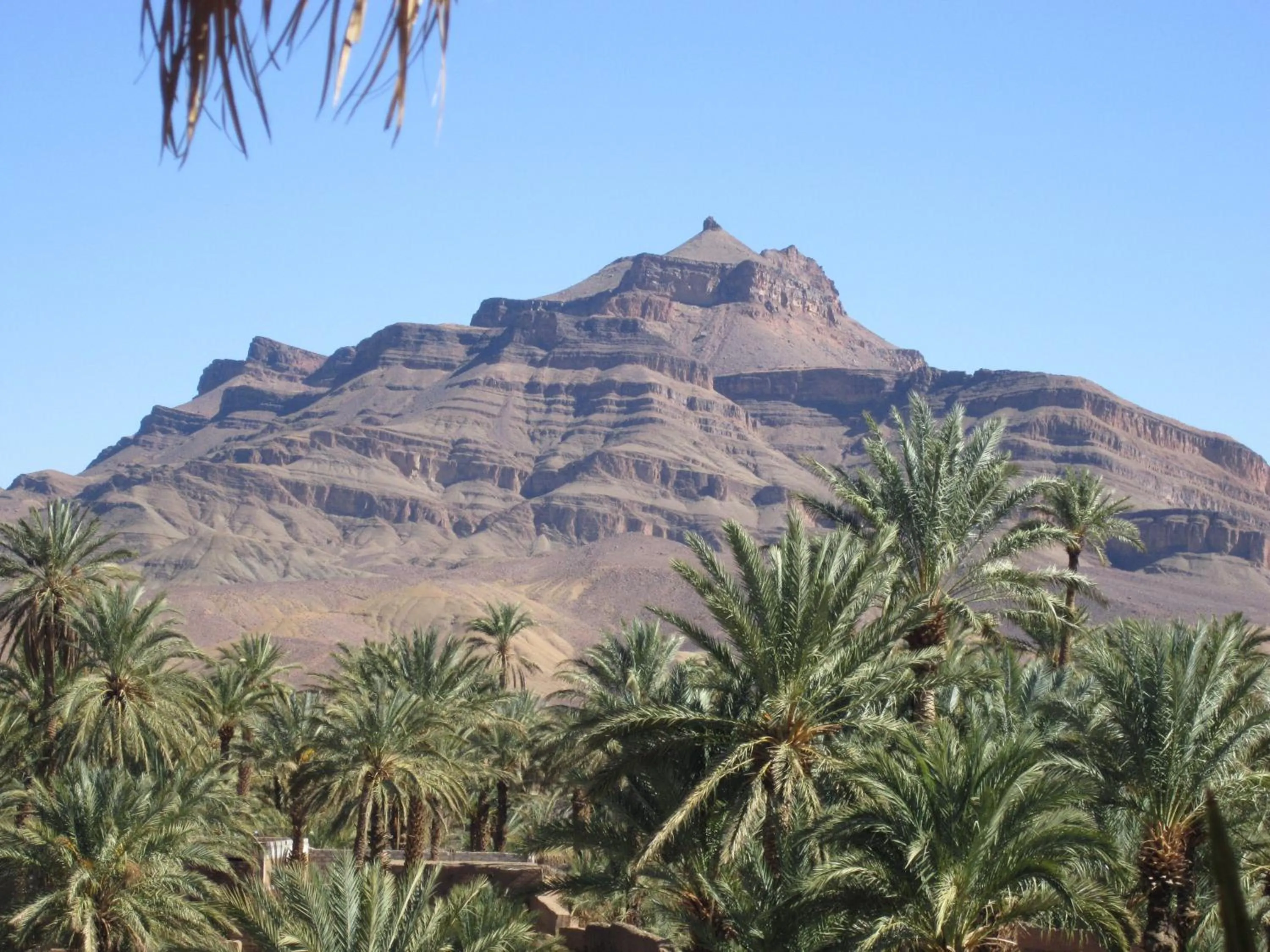 View (from property/room) in Dar Amazir