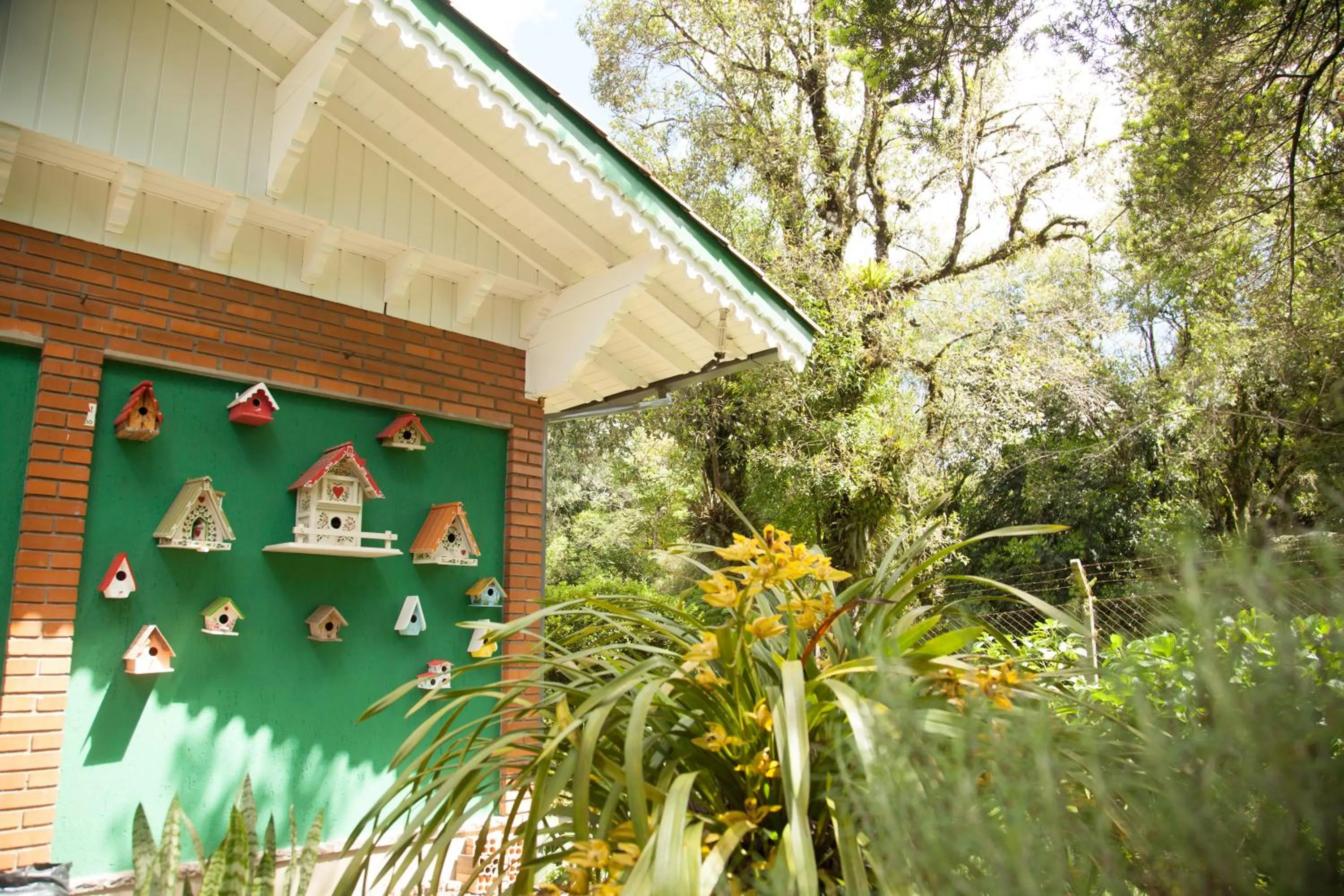 Garden in Hotel Pousada Ald' Mama