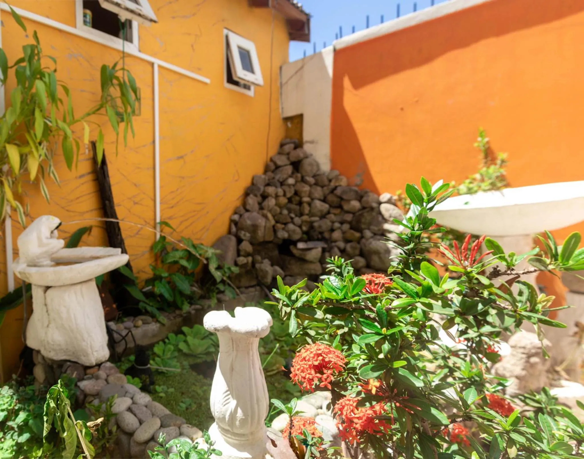 Garden in St. James Guesthouse