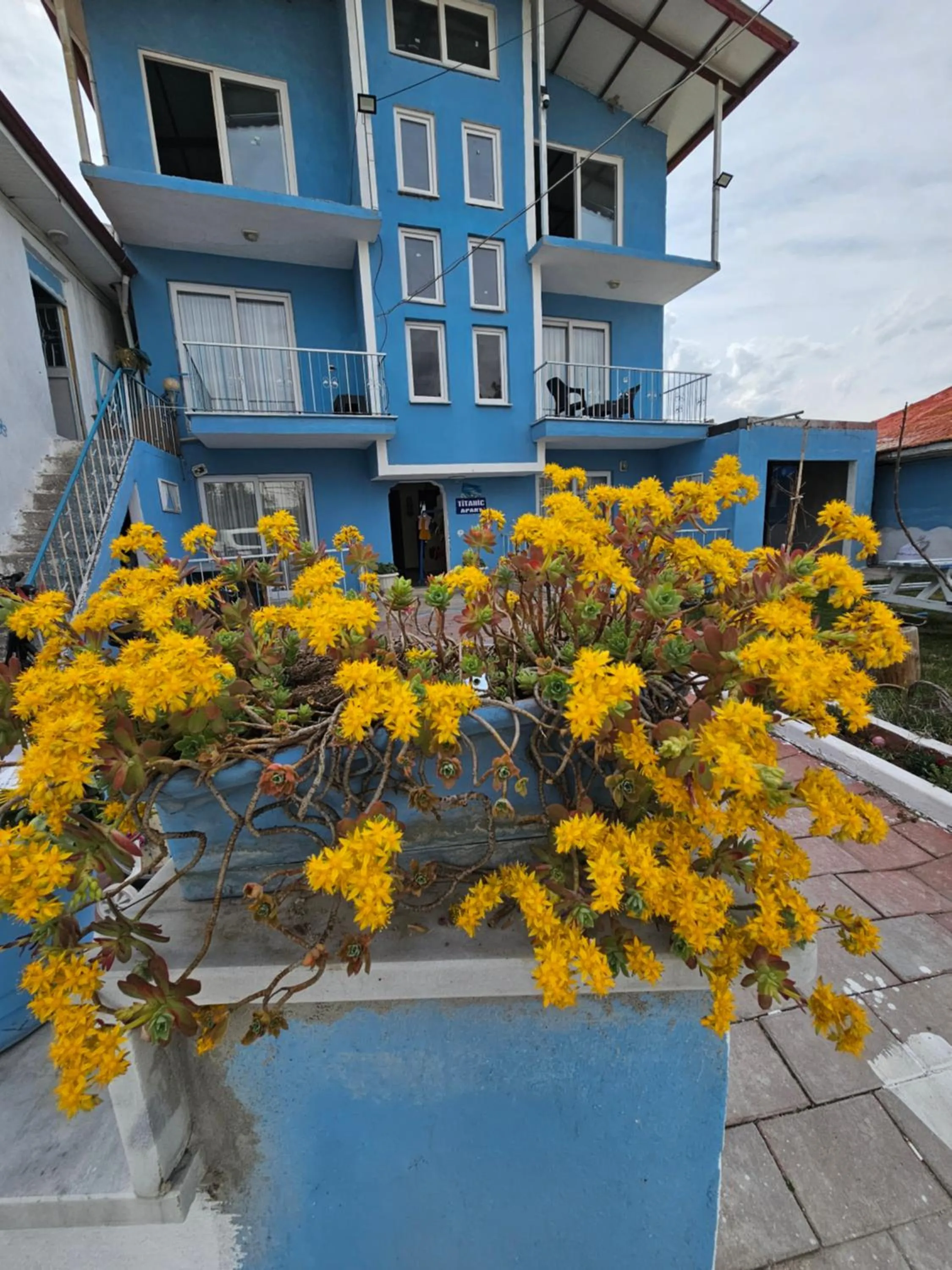 Property building in The Titanic House